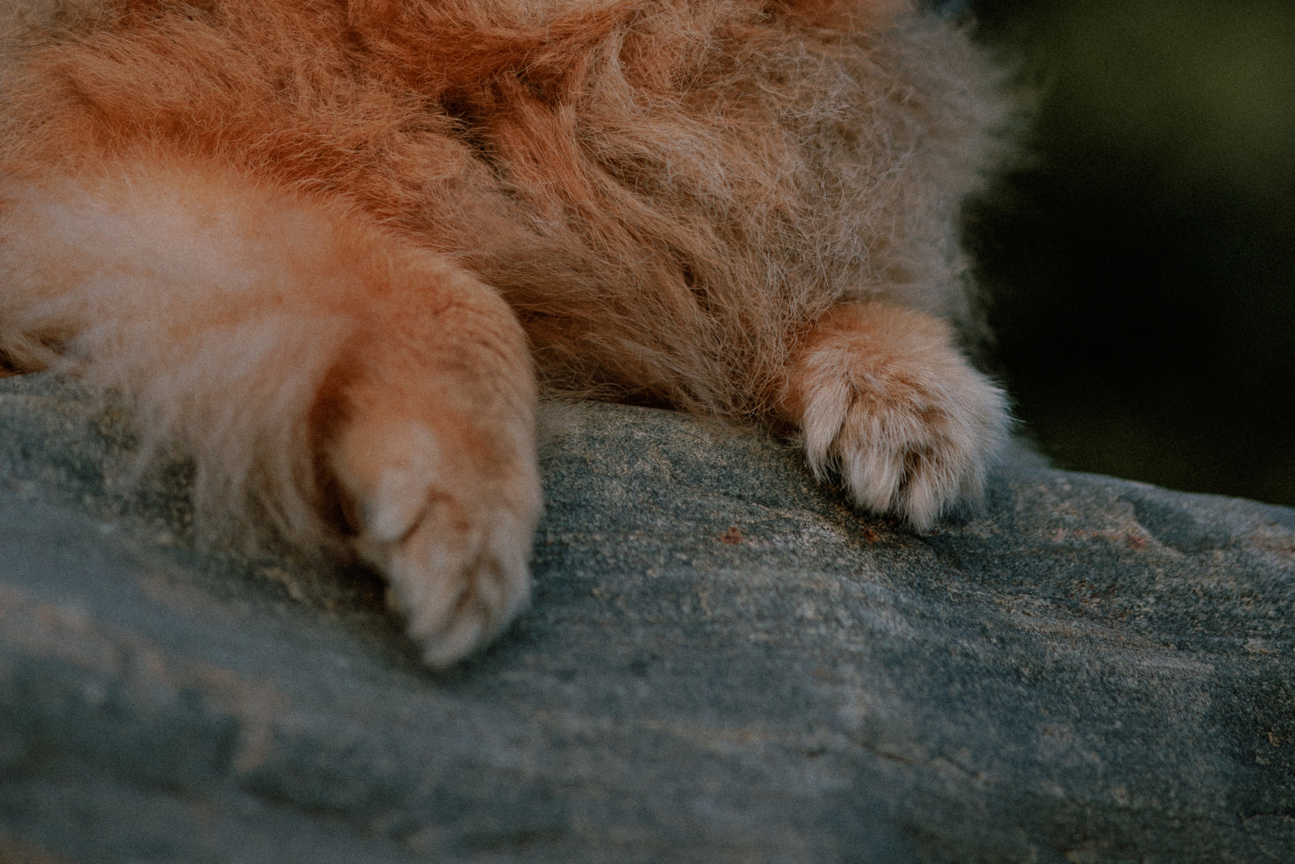 Маргарита и Космос. Фотограф в Санкт-Петербурге Алёна Губинская