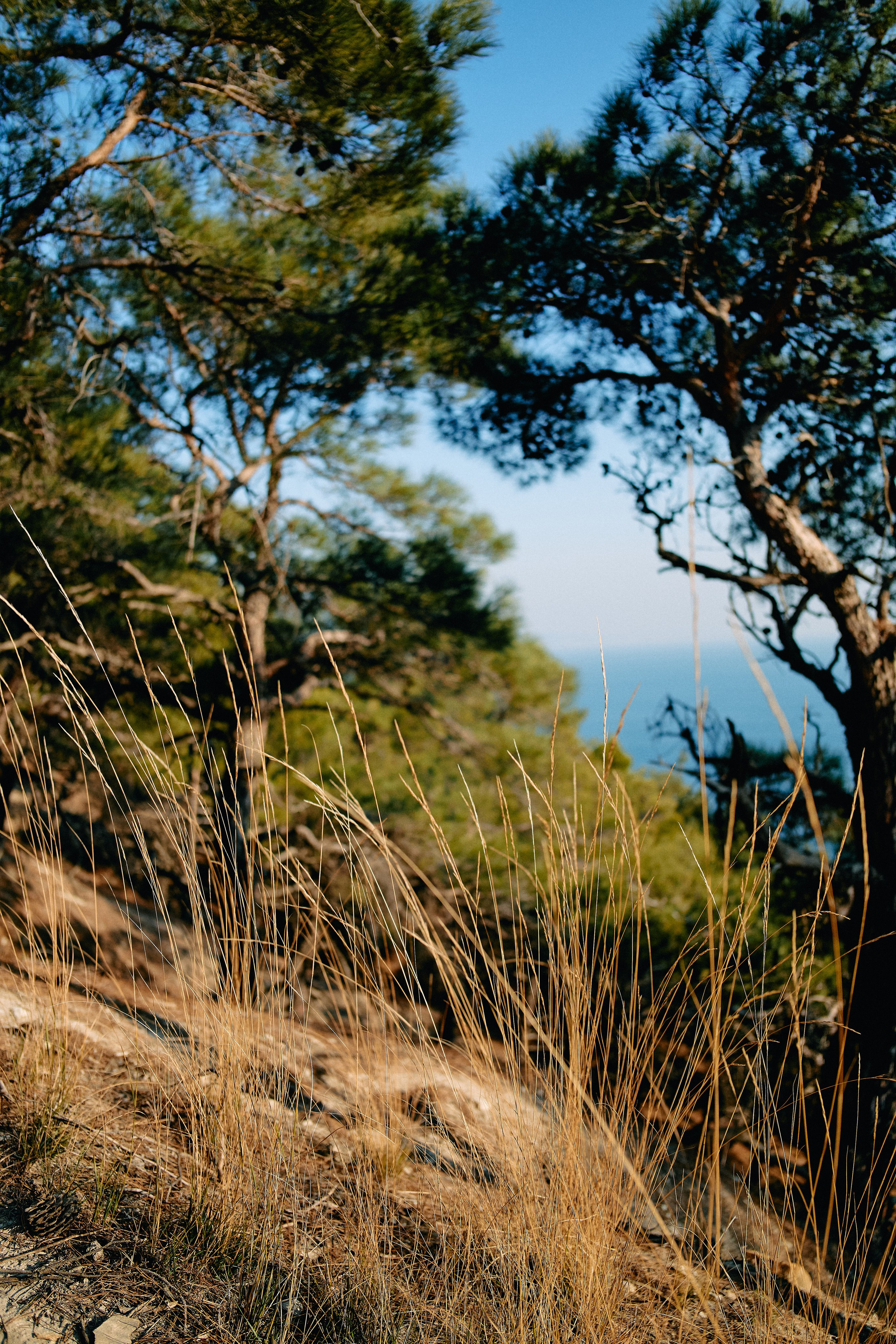 Юг России. Профессиональный Фотограф во Владимире, в Москве и в Суздале — Полина Романычева