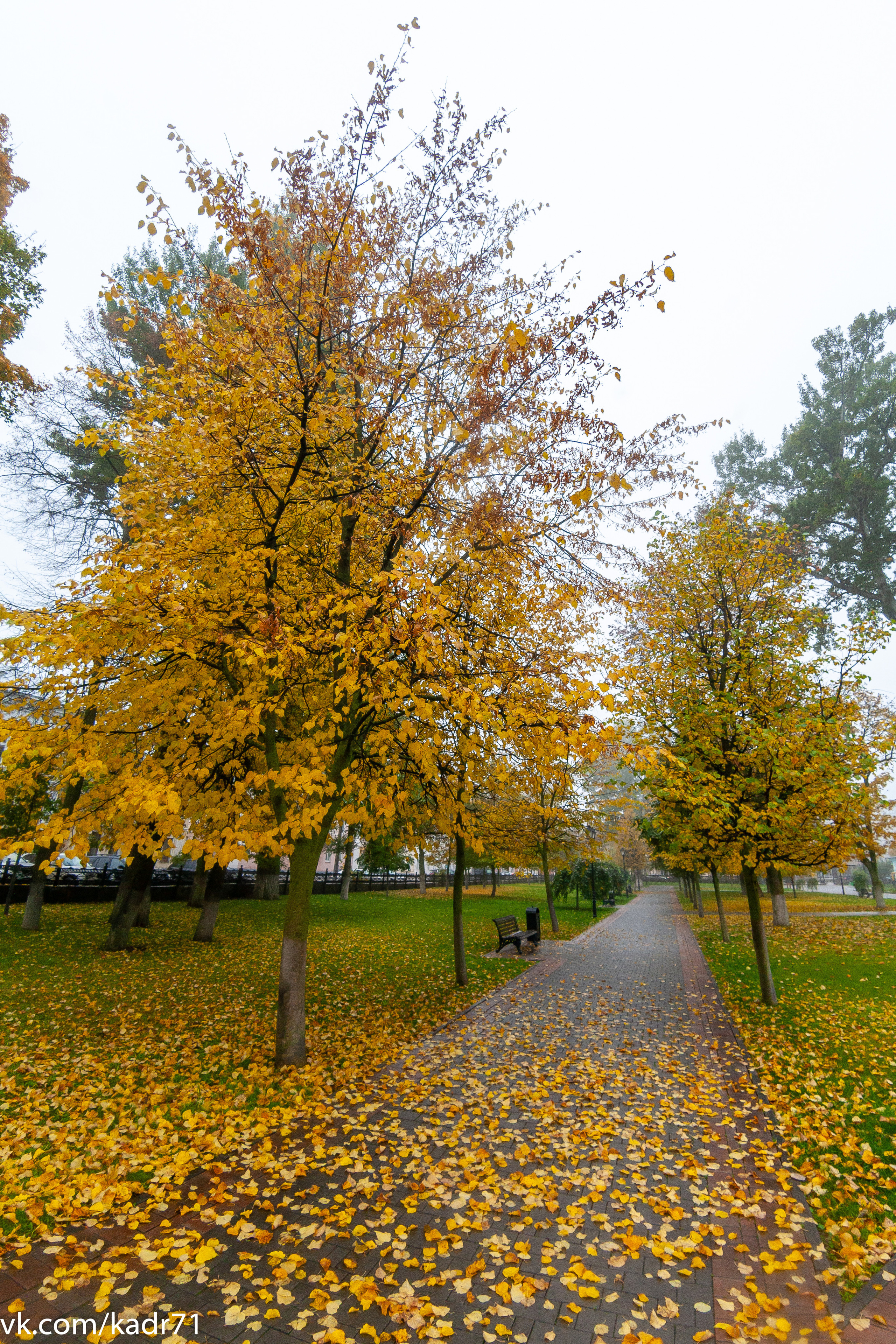 Тульский кремль осень (старенький 5Д и зенитар). Фотограф в Туле Крупский АнДРей. Фотостудия «КАДР71» в Туле
