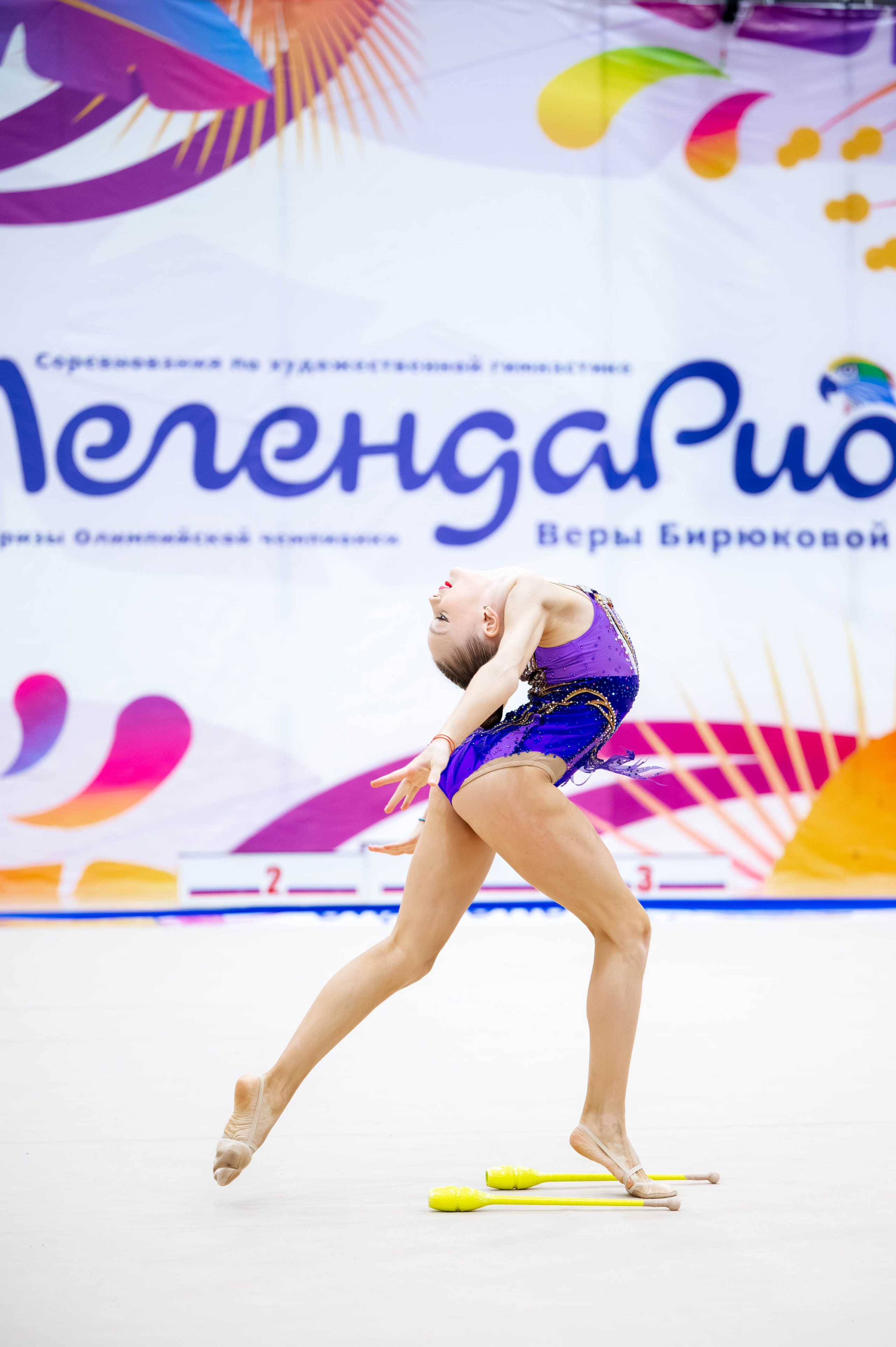 Турнир по хг на призы ОЧ Веры Бирюковой ЛегендаРИО, ноябрь 2024. Спортивный фотограф в Туле и Тульской области. Файсханова Фото Спорт