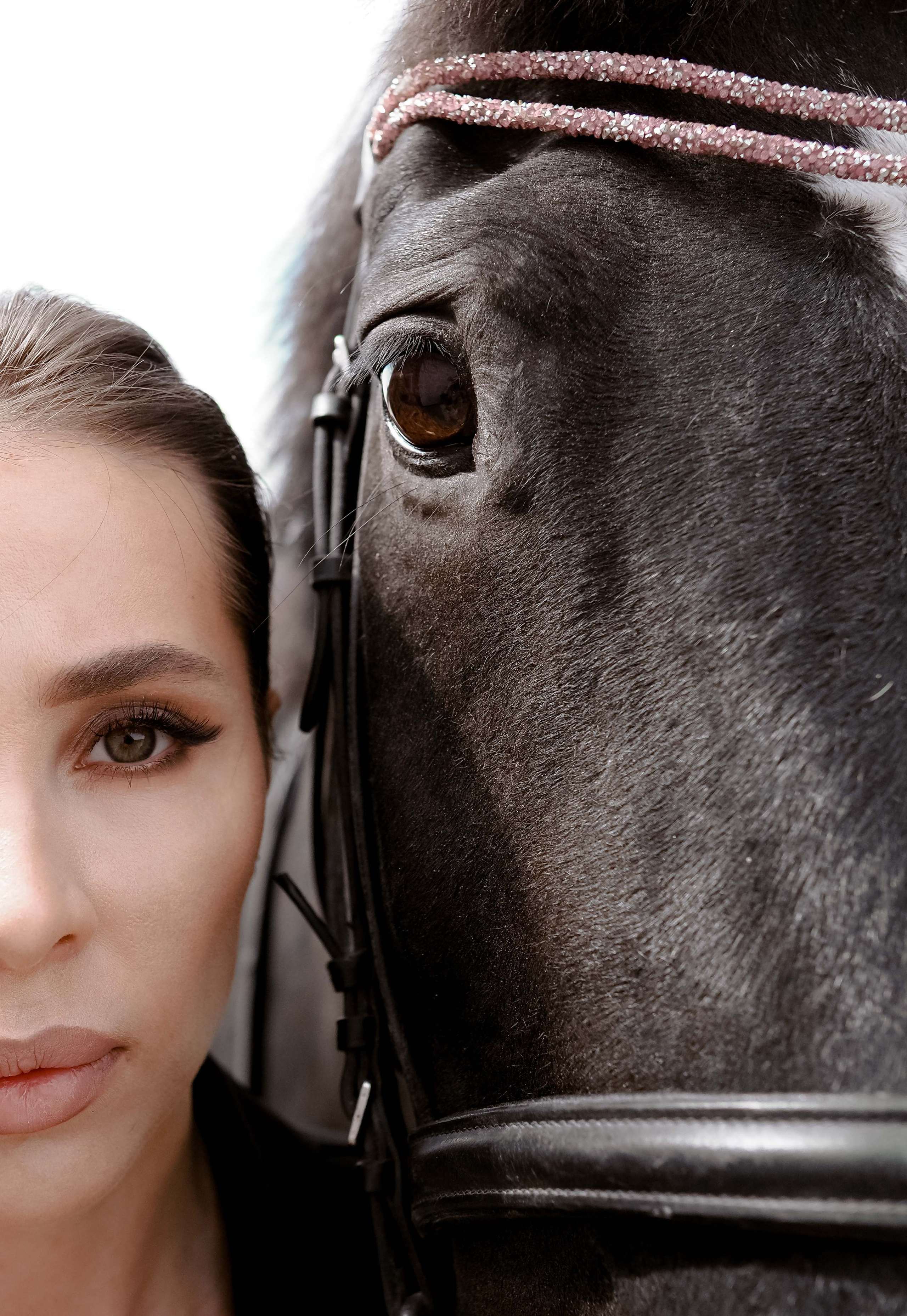 Фотопроект с лошадьми. Фотограф Рязань. Семейный Свадебный фотограф