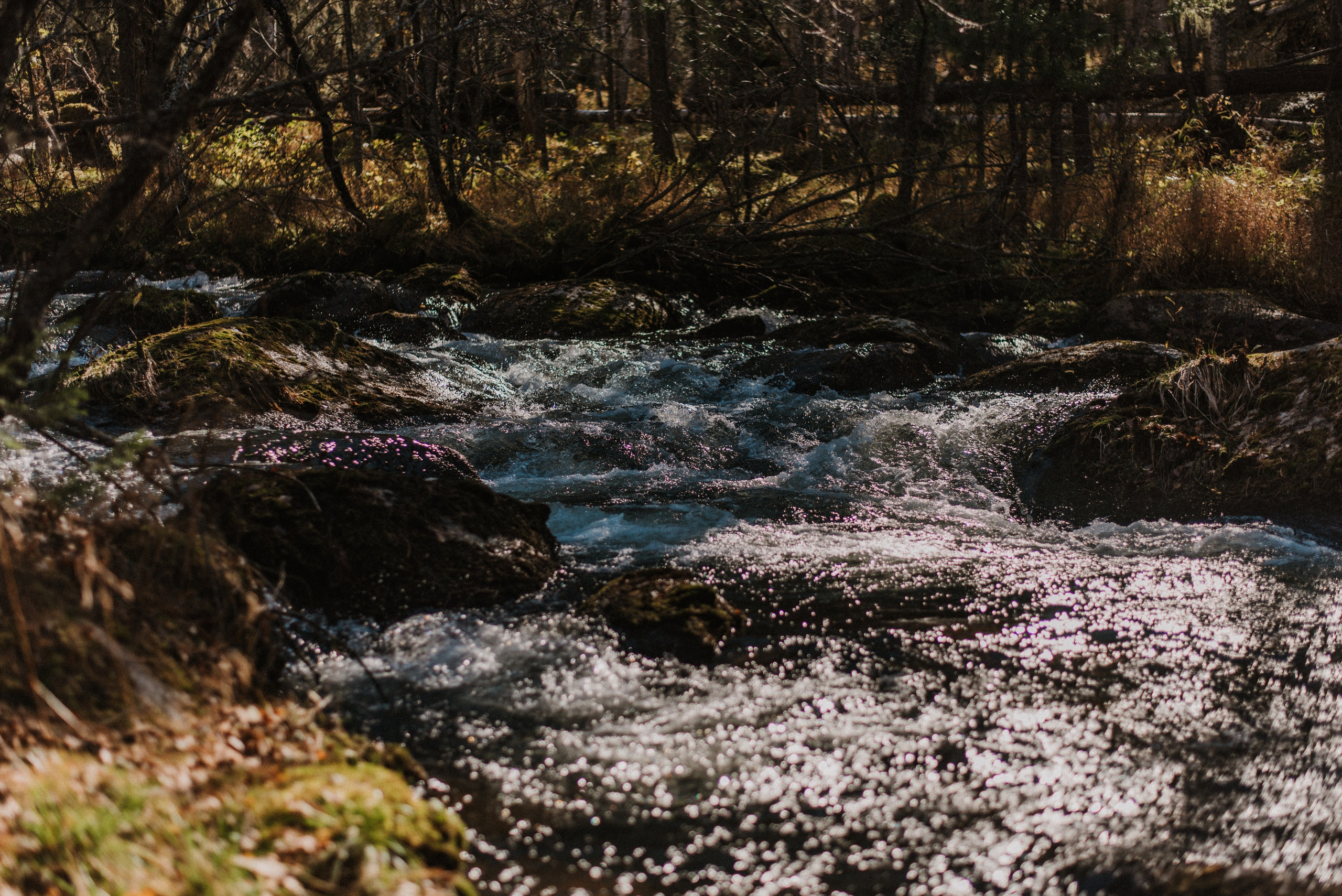 Кутурчины. Свадебный и семейный фотограф в Красноярске Наталья Дроздова