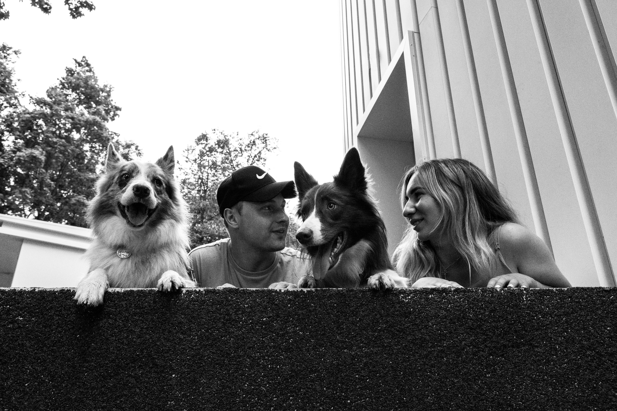 Настя, Ваня, Бейлис и Грэгори. Фотограф Анна Луценко Москва