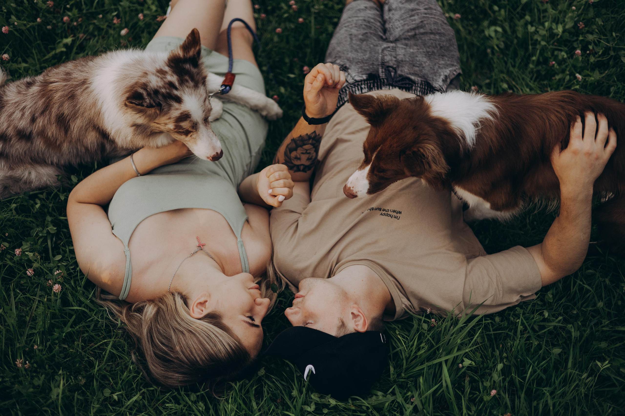 Настя, Ваня, Бейлис и Грэгори. Фотограф Анна Луценко Москва