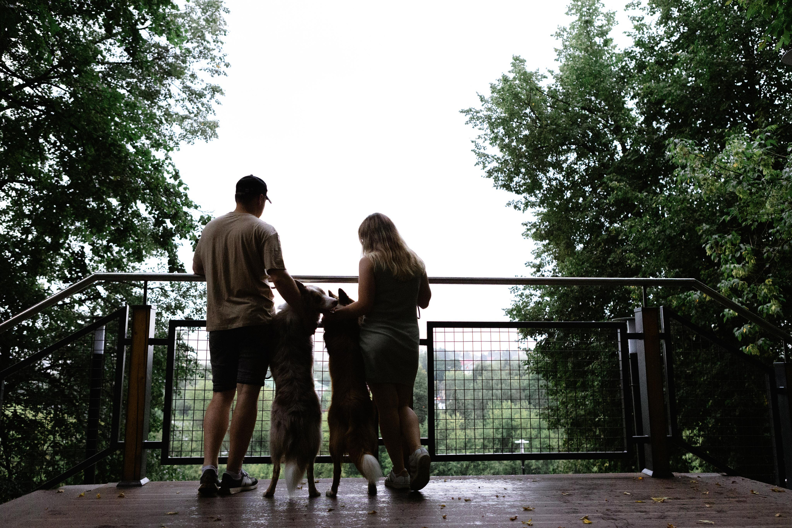 Настя, Ваня, Бейлис и Грэгори. Фотограф Анна Луценко Москва