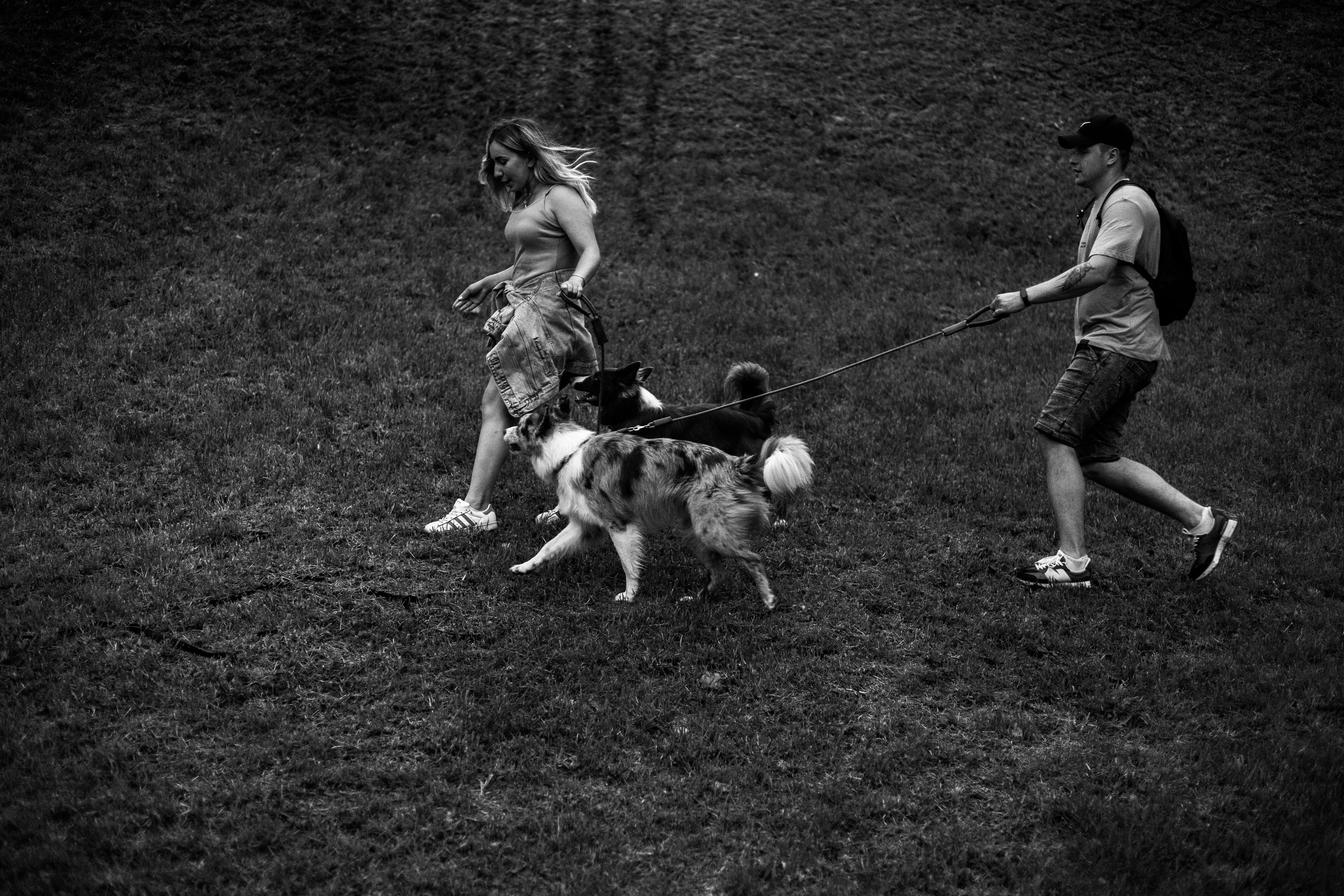 Настя, Ваня, Бейлис и Грэгори. Фотограф Анна Луценко Москва
