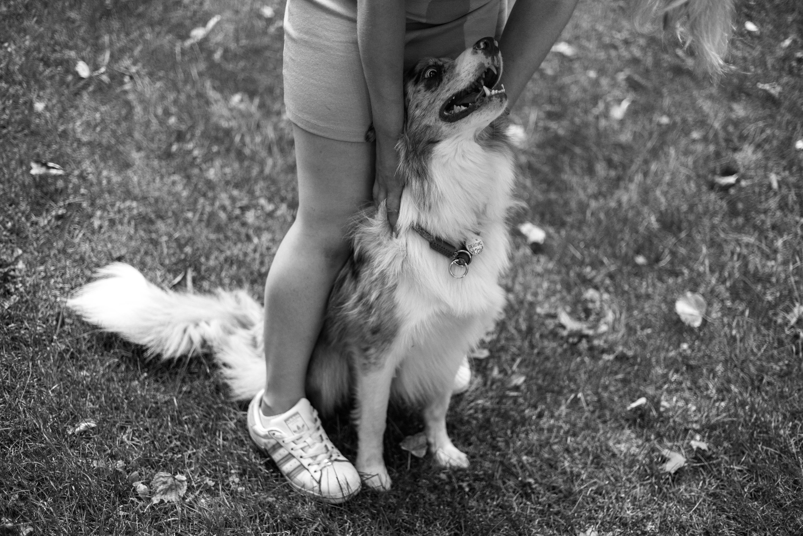 Настя, Ваня, Бейлис и Грэгори. Фотограф Анна Луценко Москва