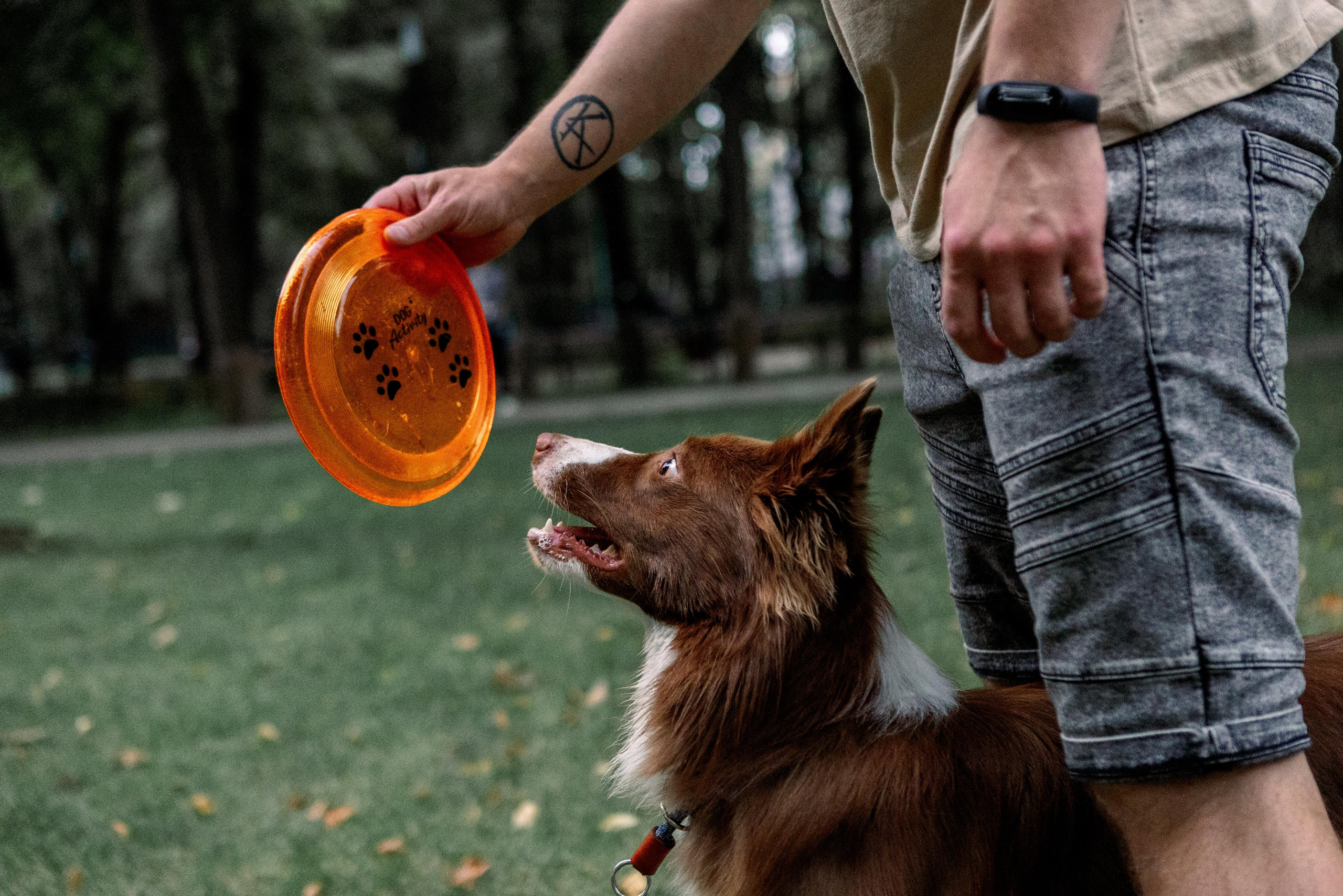 Настя, Ваня, Бейлис и Грэгори. Фотограф Анна Луценко Москва