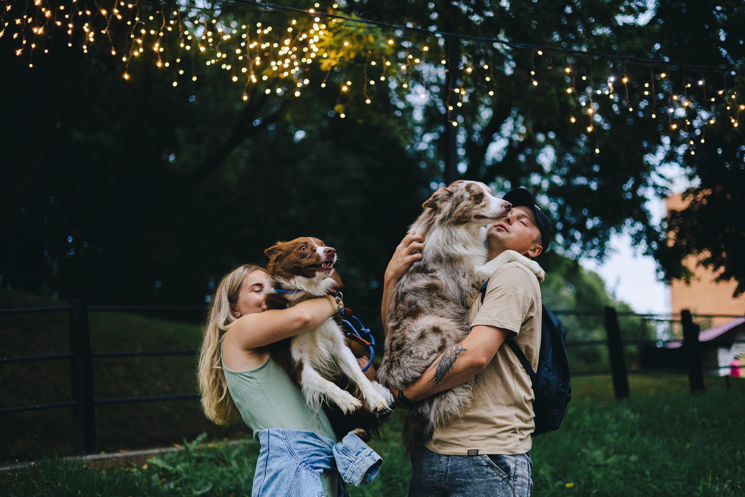 Настя, Ваня, Бейлис и Грэгори. Фотограф Анна Луценко Москва