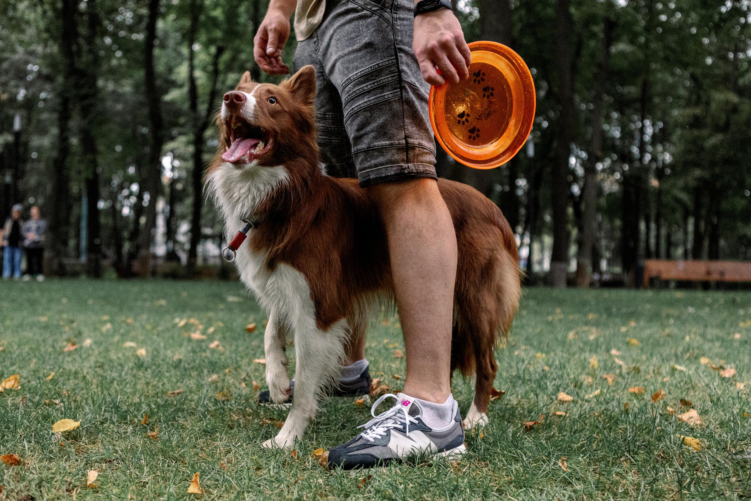Настя, Ваня, Бейлис и Грэгори. Фотограф Анна Луценко Москва