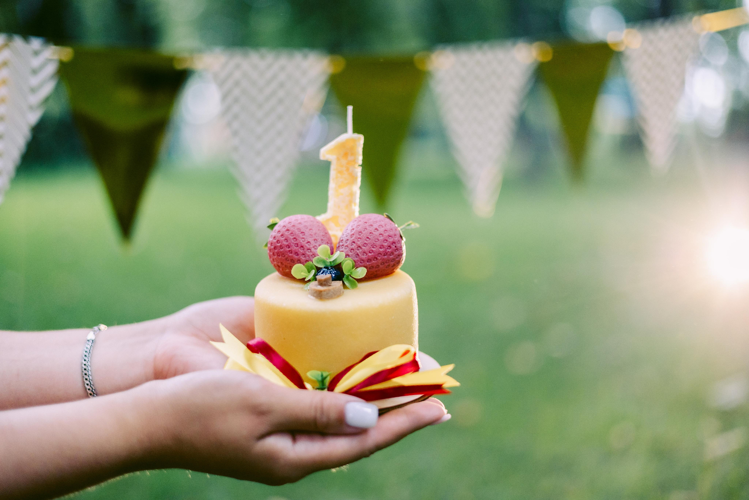 Настя, Ваня, Бейлис и Грэгори. Фотограф Анна Луценко Москва