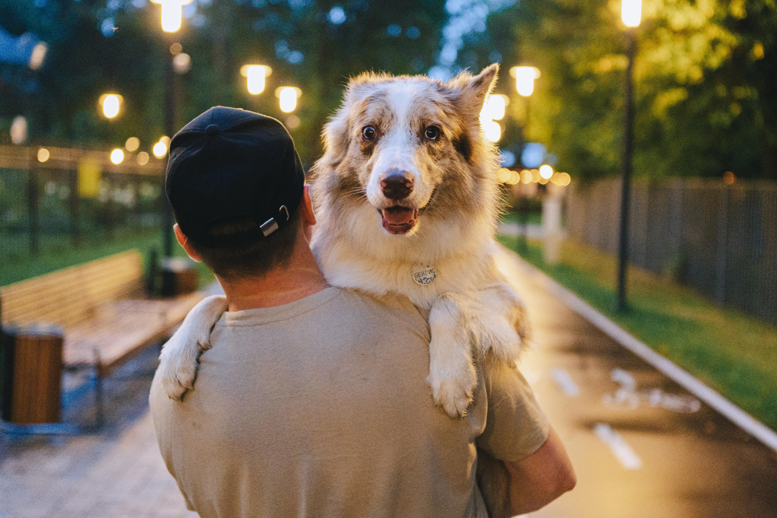 Настя, Ваня, Бейлис и Грэгори. Фотограф Анна Луценко Москва