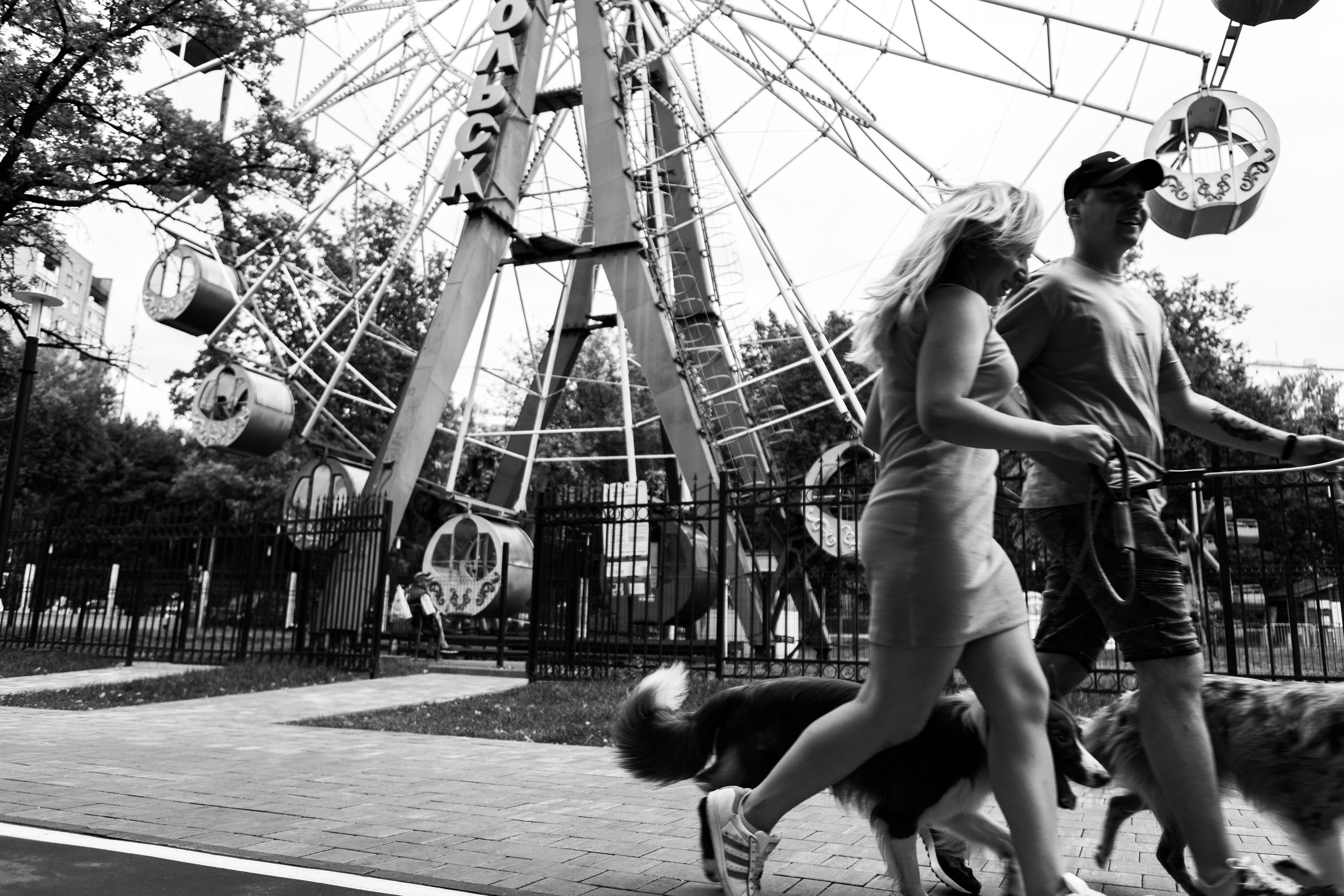 Настя, Ваня, Бейлис и Грэгори. Фотограф Анна Луценко Москва