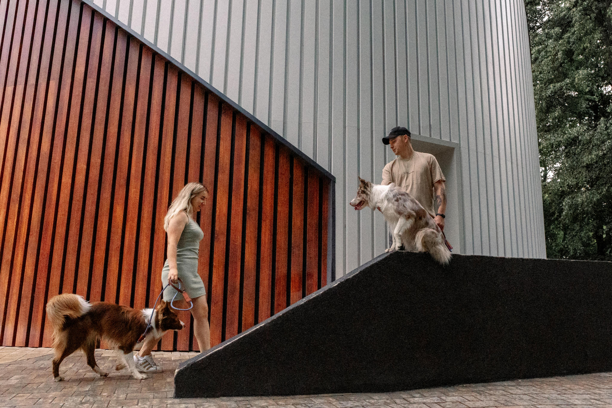 Настя, Ваня, Бейлис и Грэгори. Фотограф Анна Луценко Москва