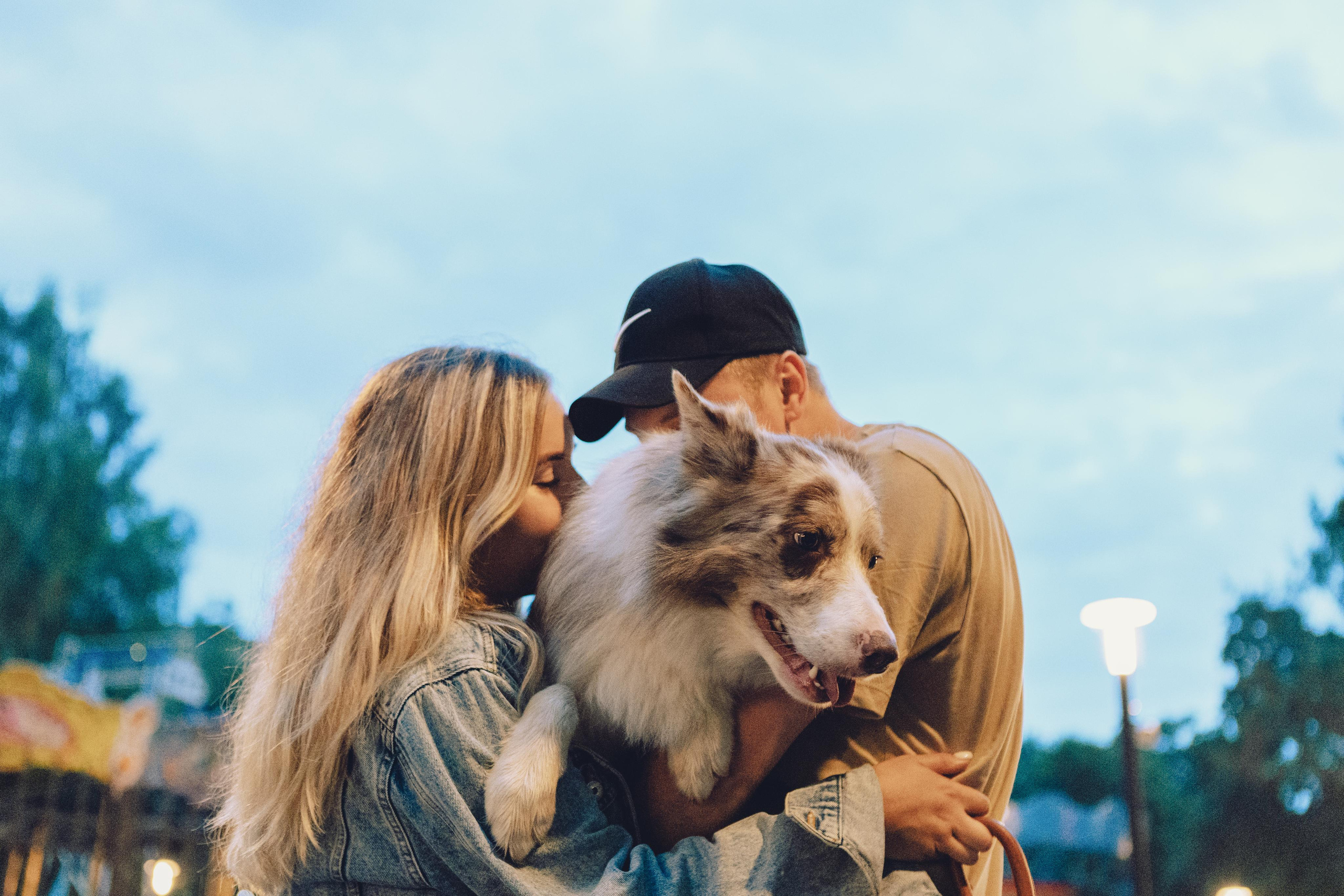 Настя, Ваня, Бейлис и Грэгори. Фотограф Анна Луценко Москва