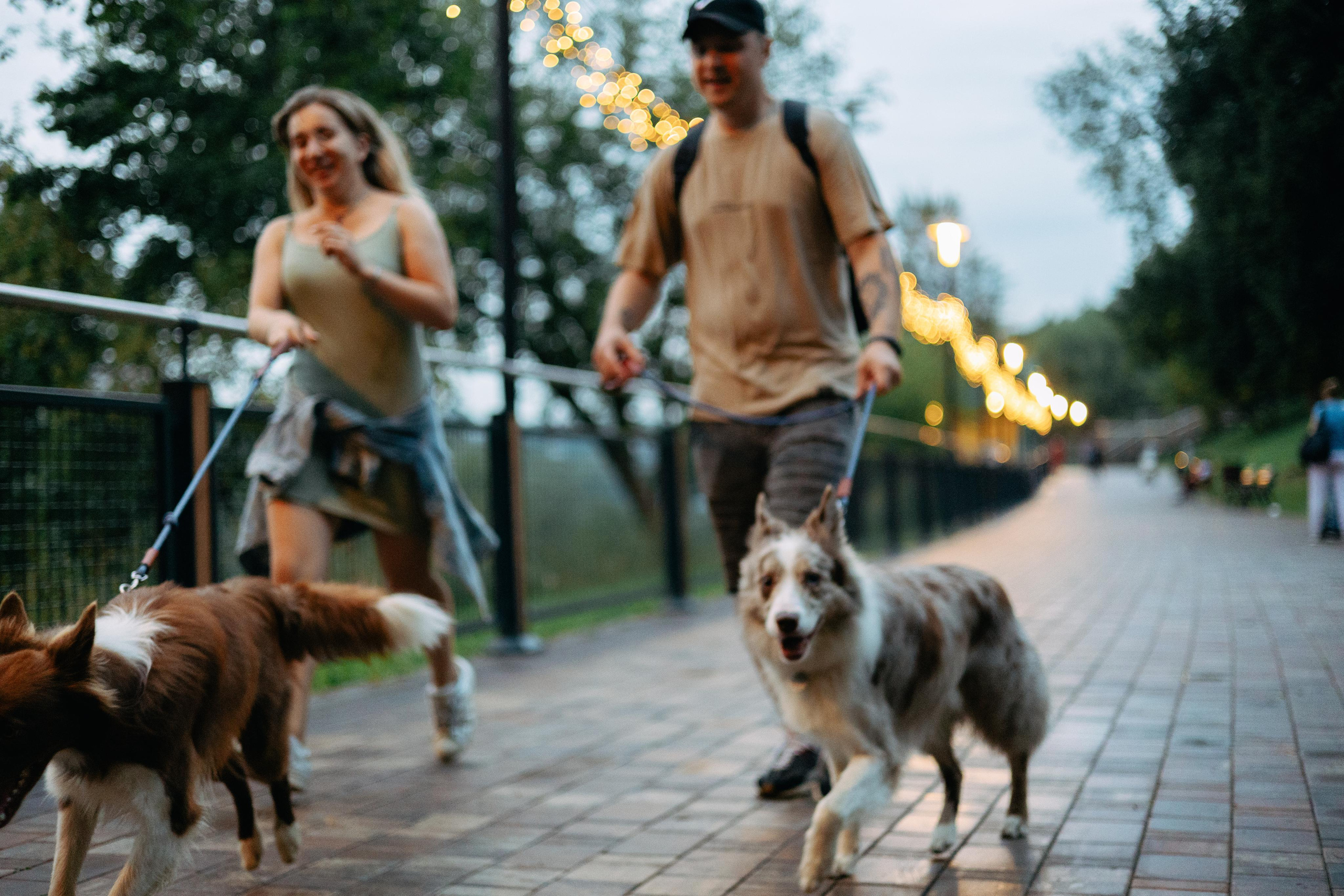 Настя, Ваня, Бейлис и Грэгори. Фотограф Анна Луценко Москва