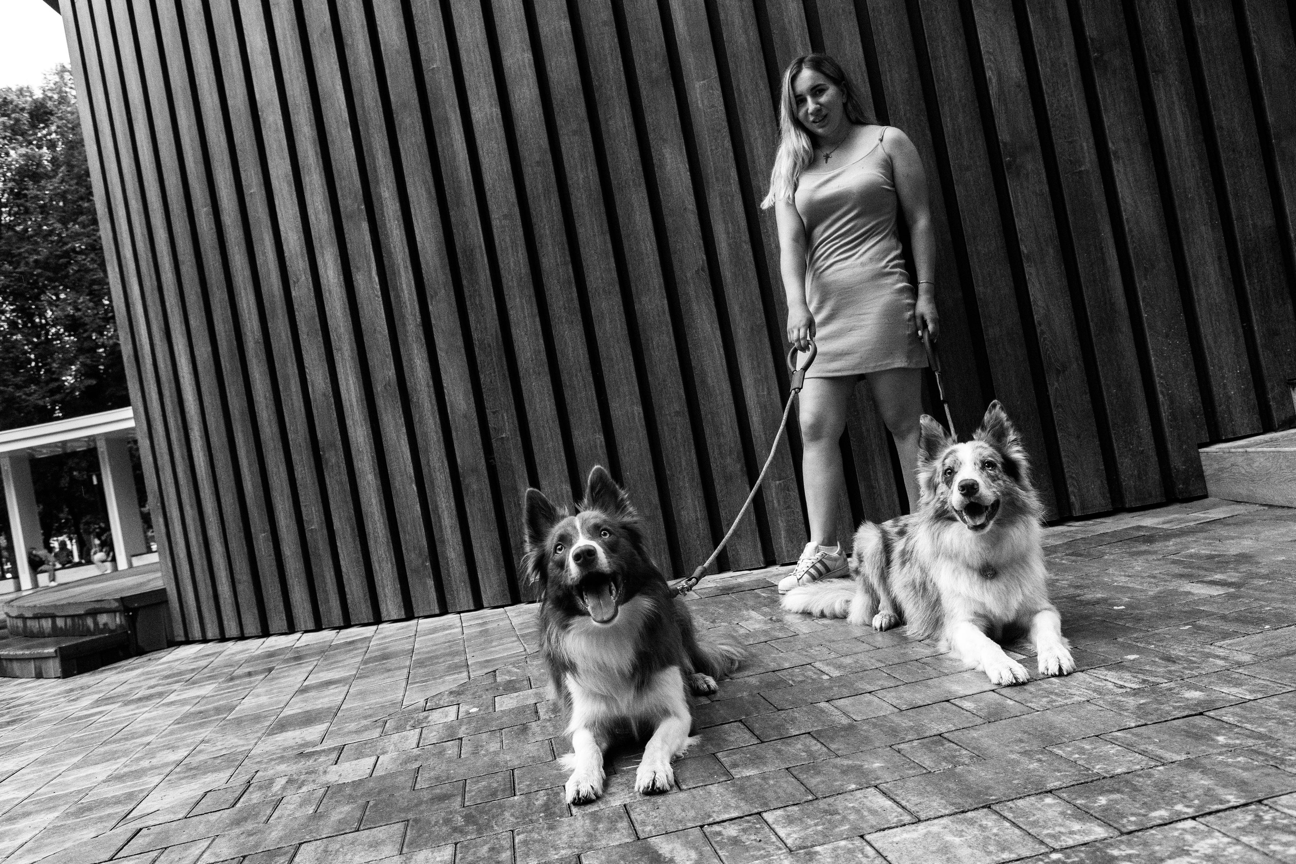 Настя, Ваня, Бейлис и Грэгори. Фотограф Анна Луценко Москва