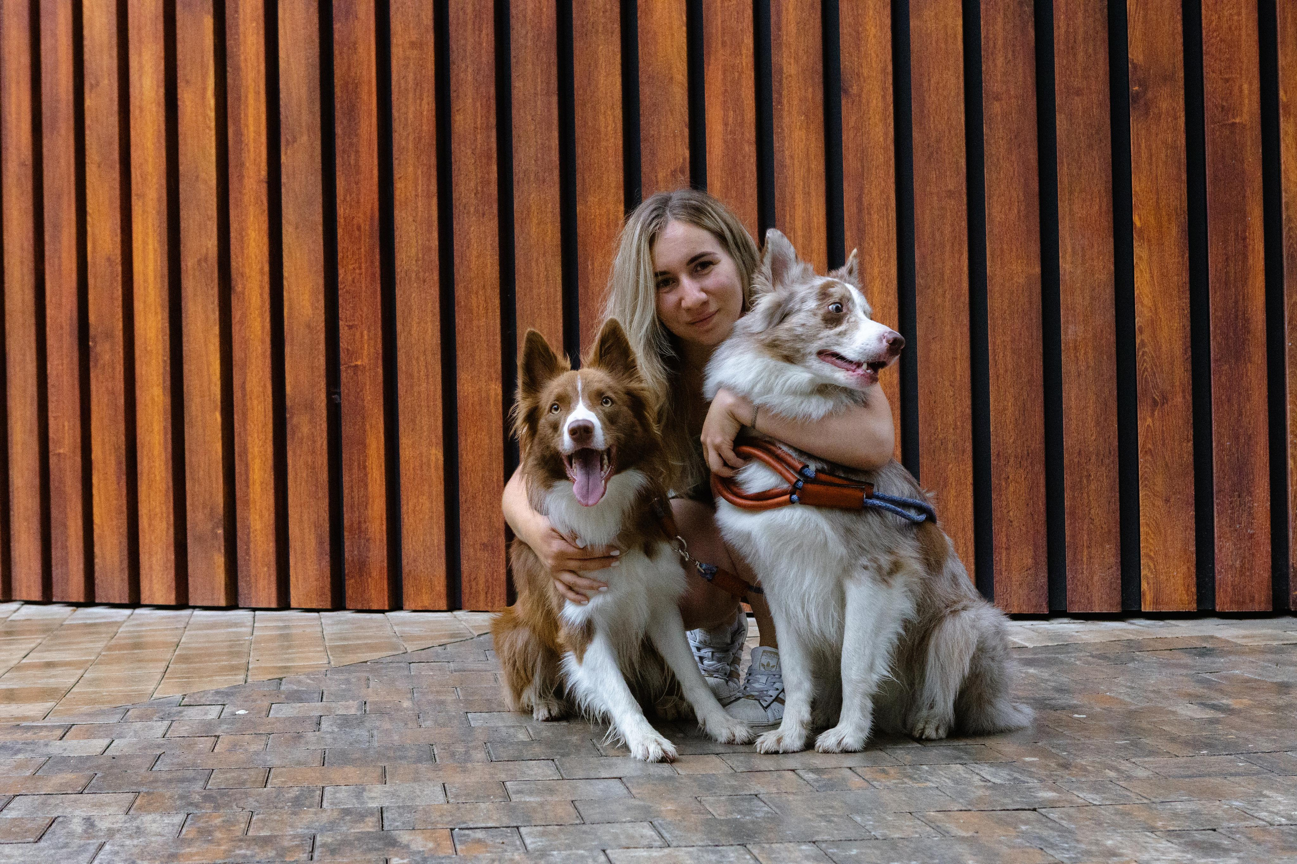 Настя, Ваня, Бейлис и Грэгори. Фотограф Анна Луценко Москва