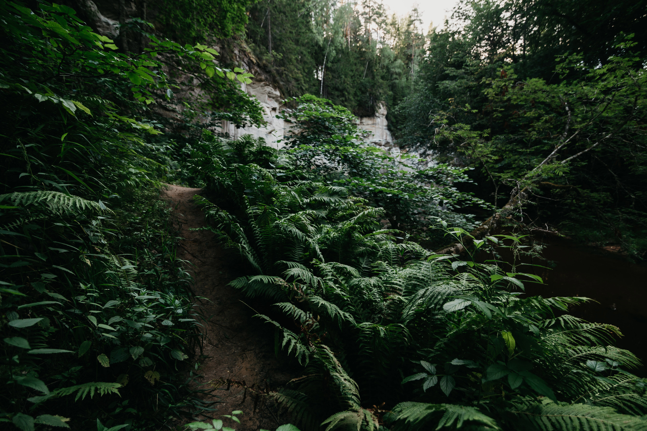 Боря и Инга. Свадебный фотограф в Санкт-Петербурге Игорь Бабенко
