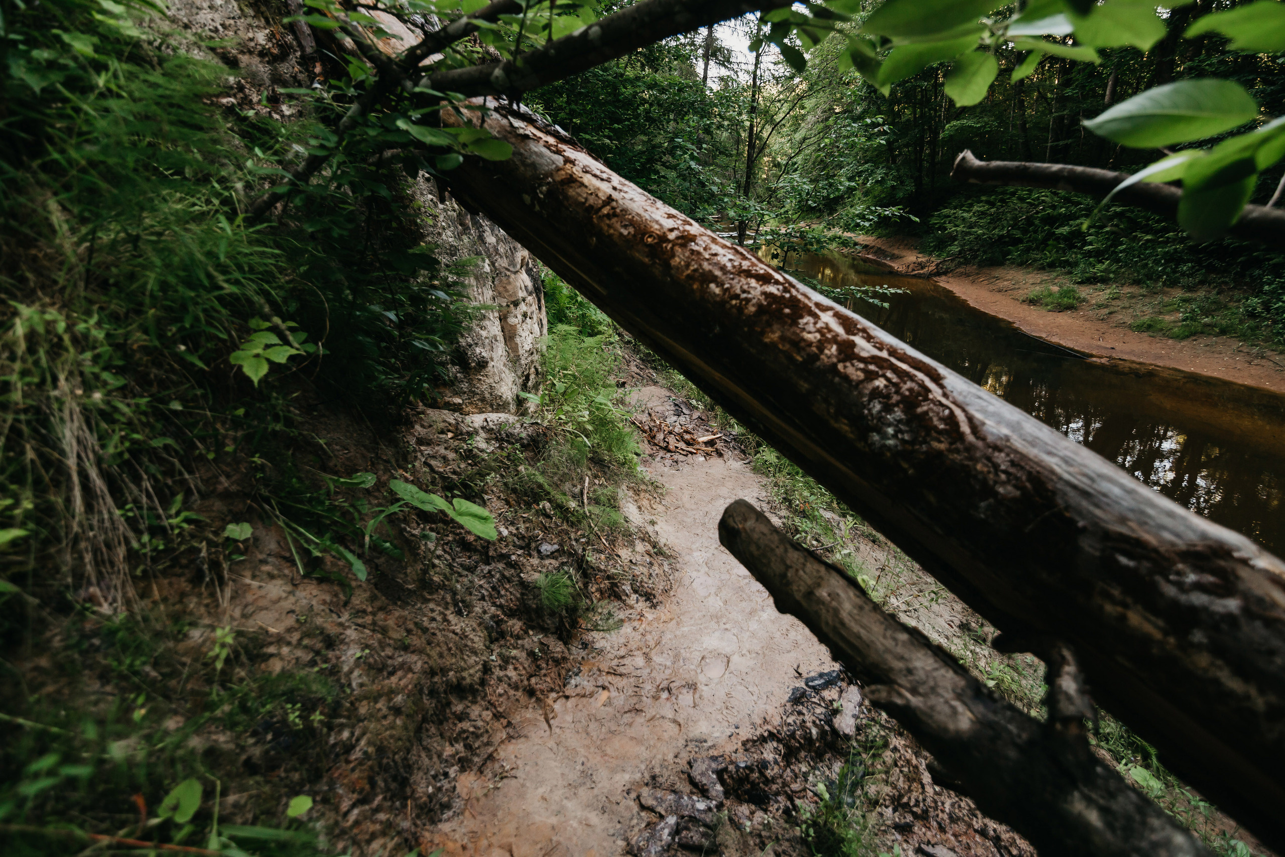 Боря и Инга. Свадебный фотограф в Санкт-Петербурге Игорь Бабенко