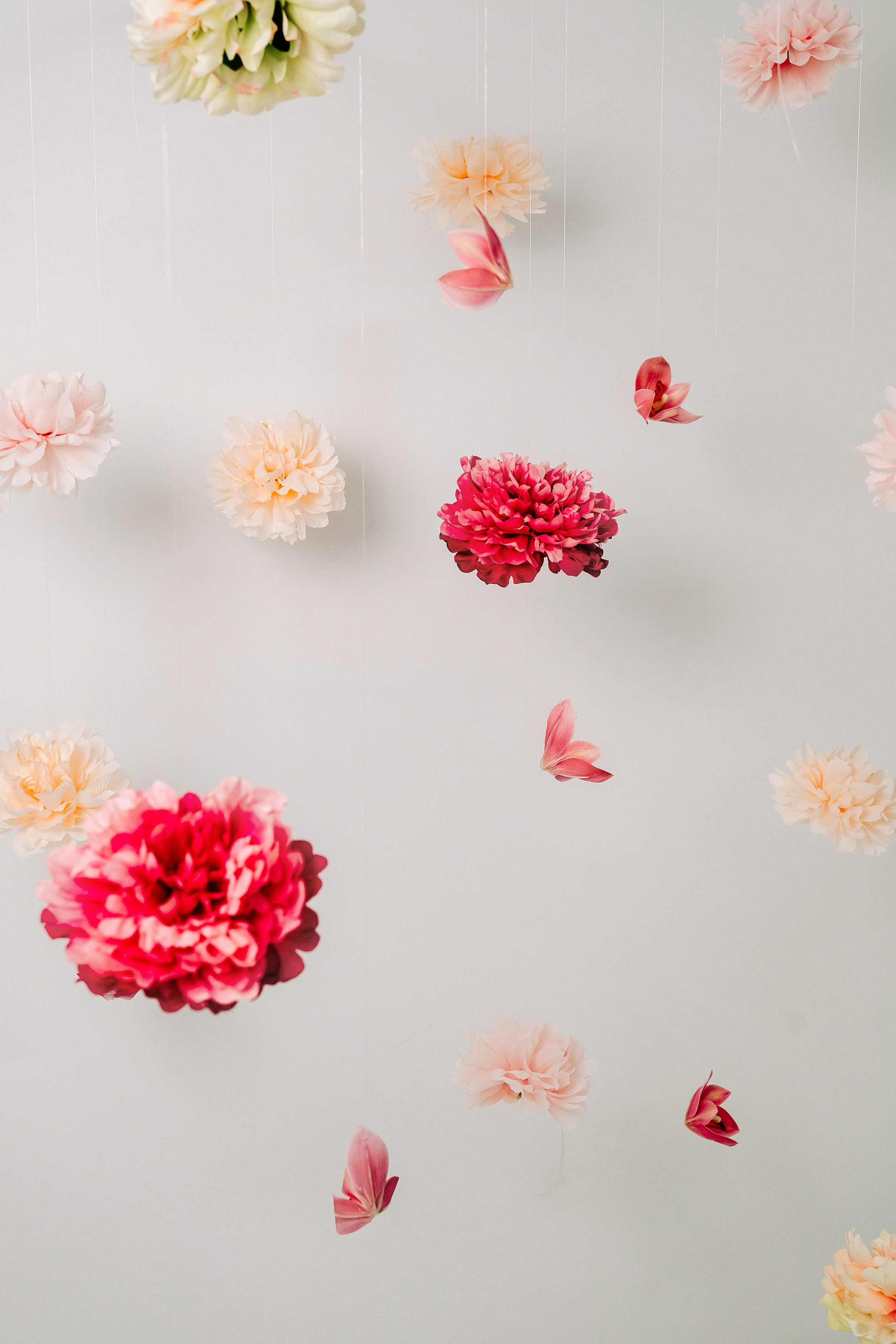 Обзор студии. «Лама» Детская фотостудия Уфа