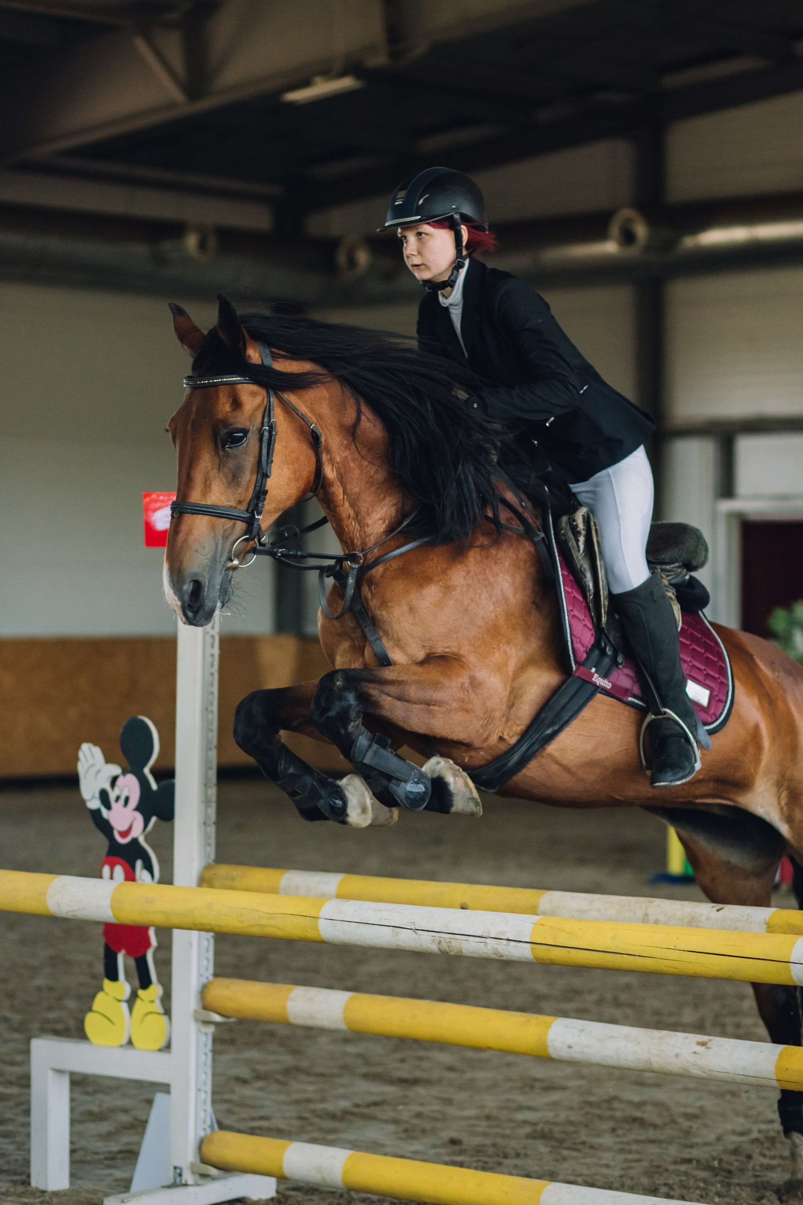 Соревнования. Ольга Белова. Портреты с лошадьми. Конная фотография