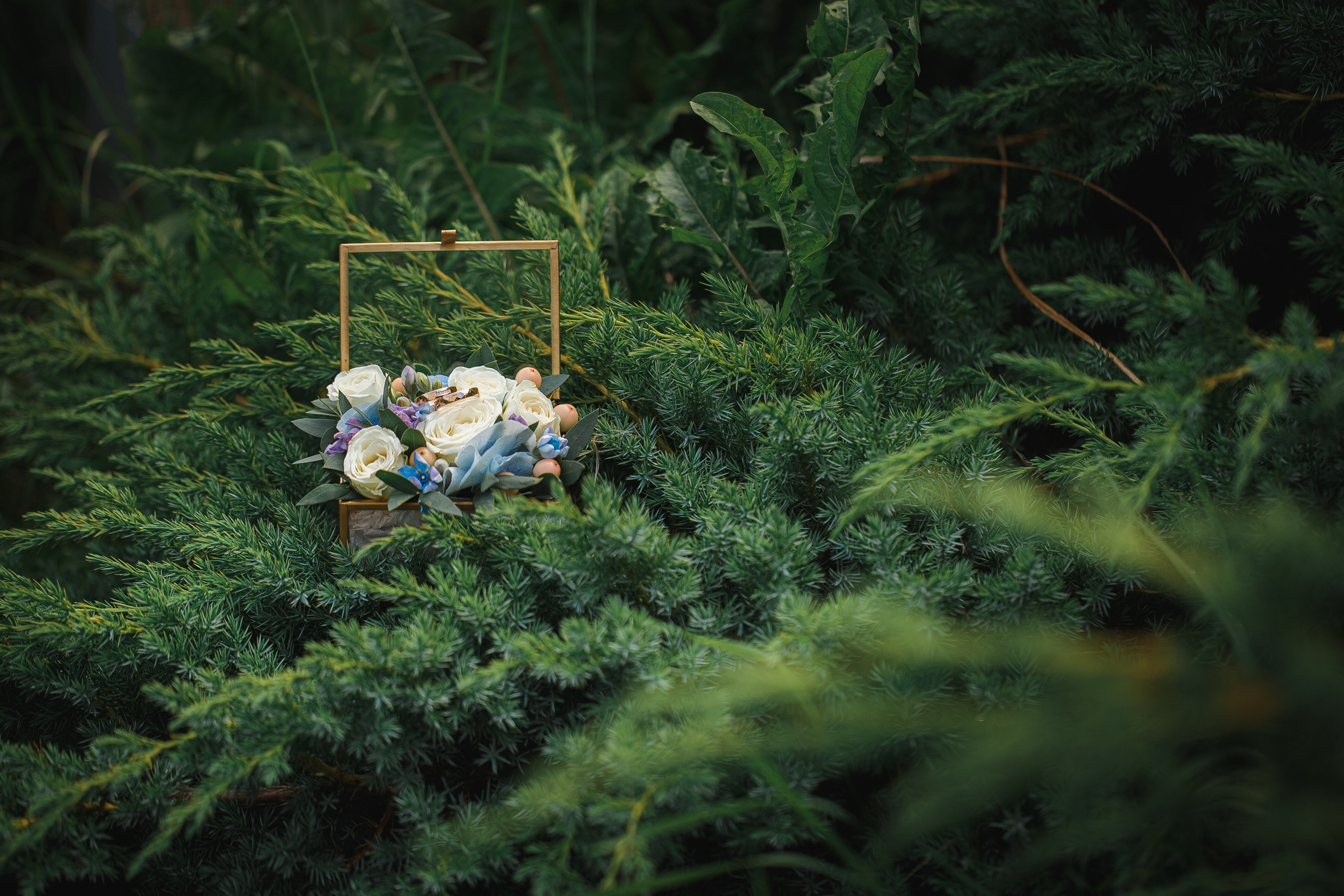 Свадебный. Свадебный и семейный фотограф Наталья Штык