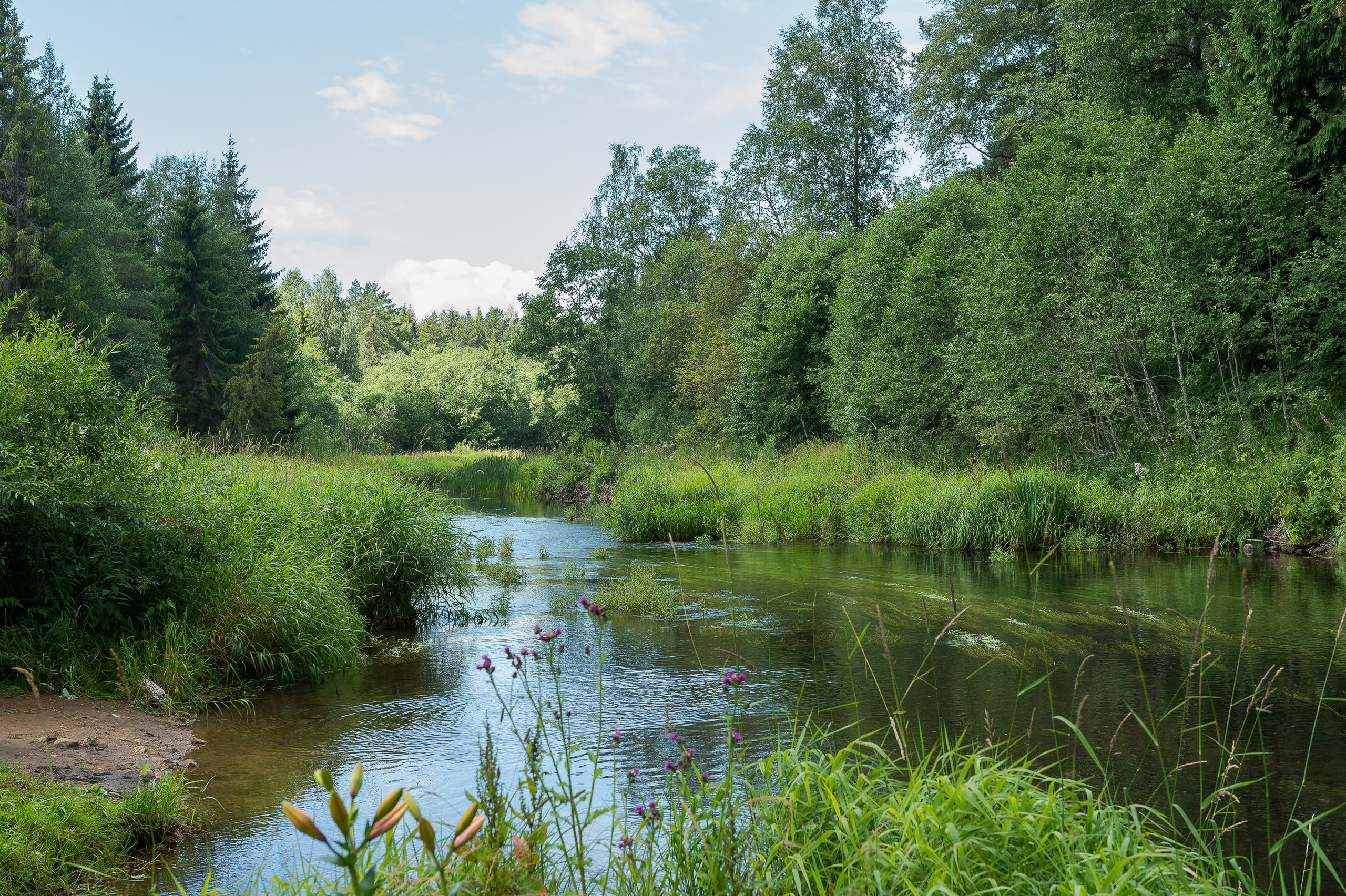 Освящение Оковецкого святого источника. 2015 год. Дима Бабушкин. Фотограф. Подиум. Репортаж. Творчество. Дорого