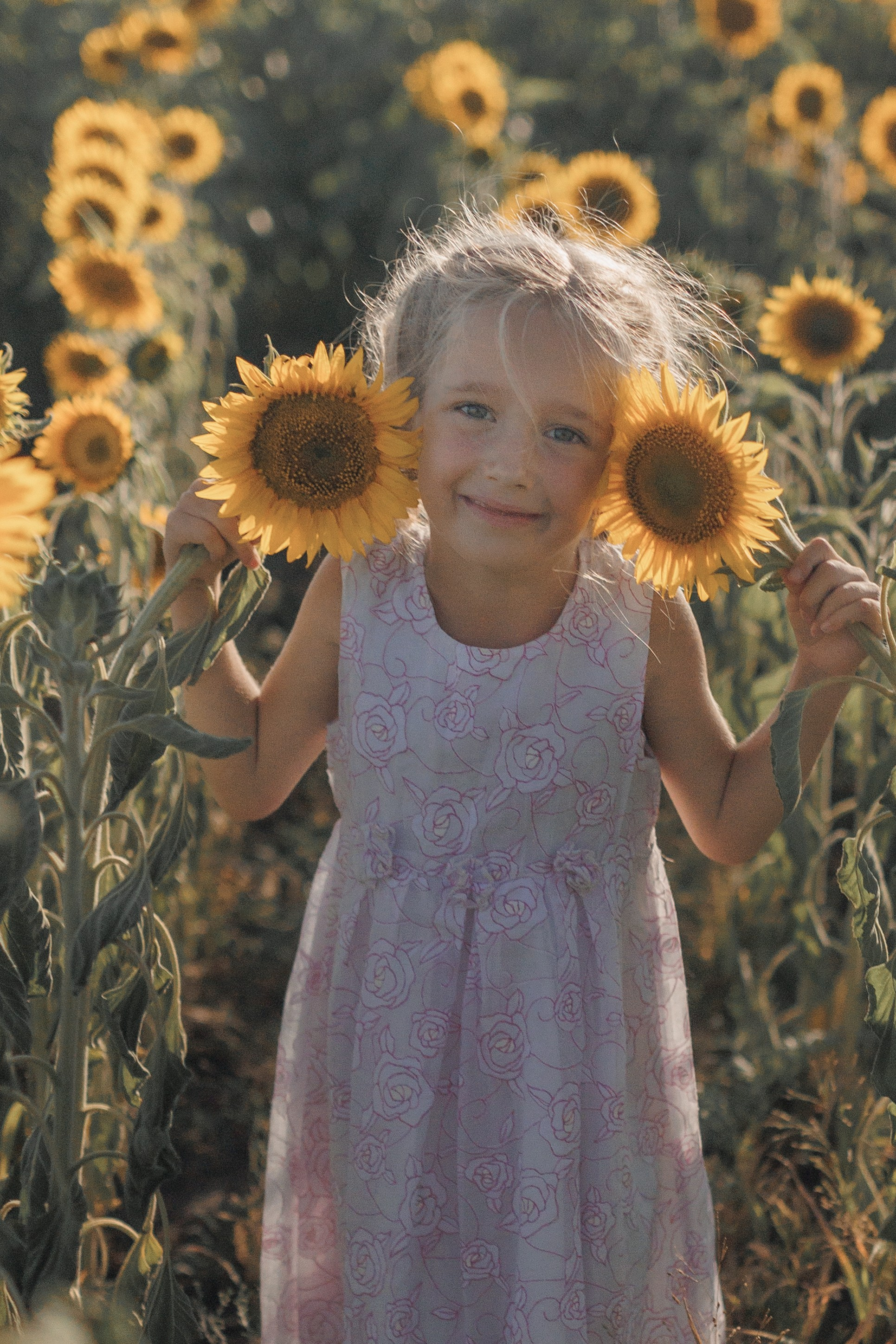 Дети и подсолнухи. Семейный фотограф lifestyle в Новосибирске Елена Шпилевая