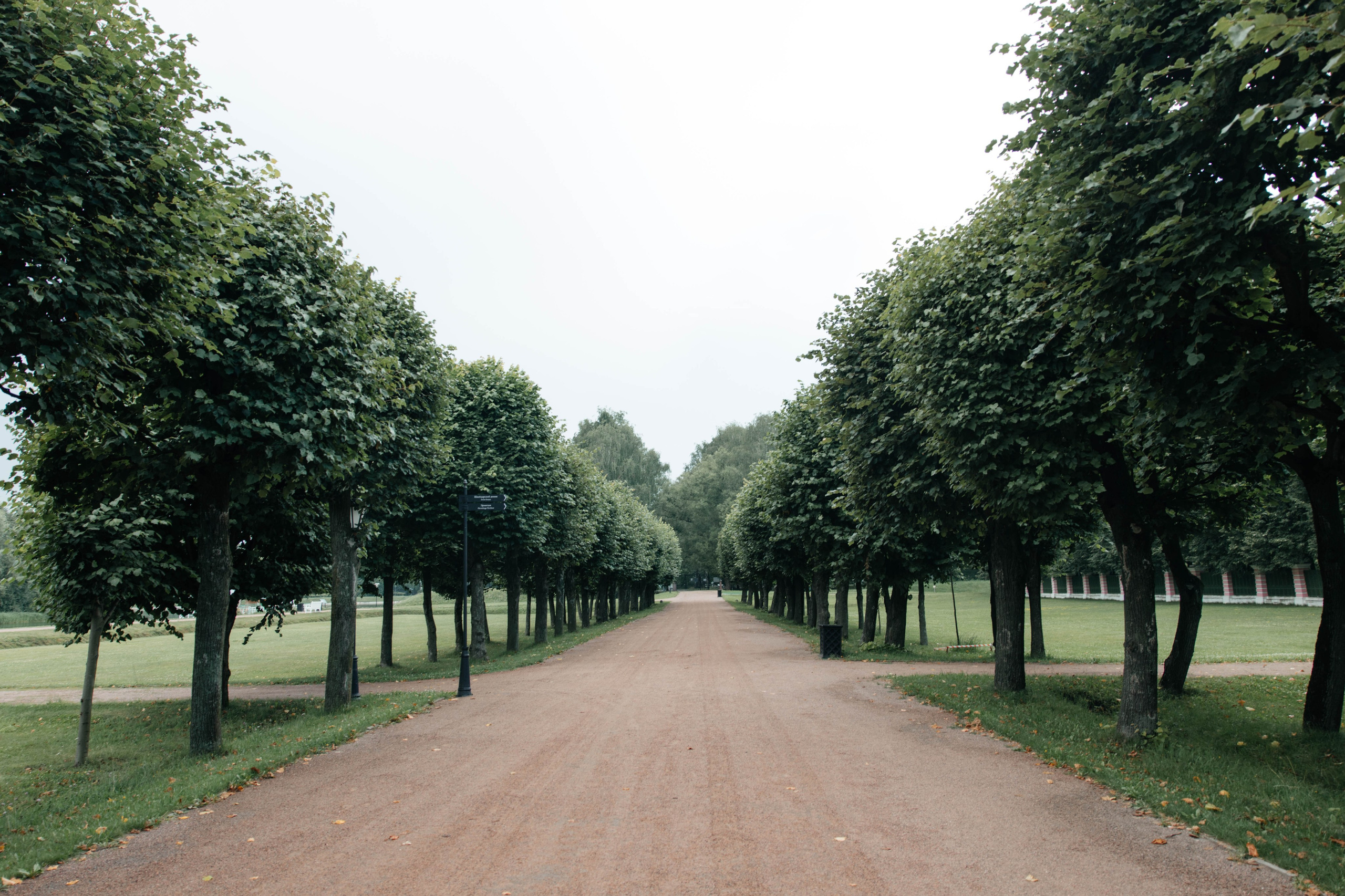 DANIEL & ANNA. Свадебное ФОТО & ВИДЕО Москва/Липецк