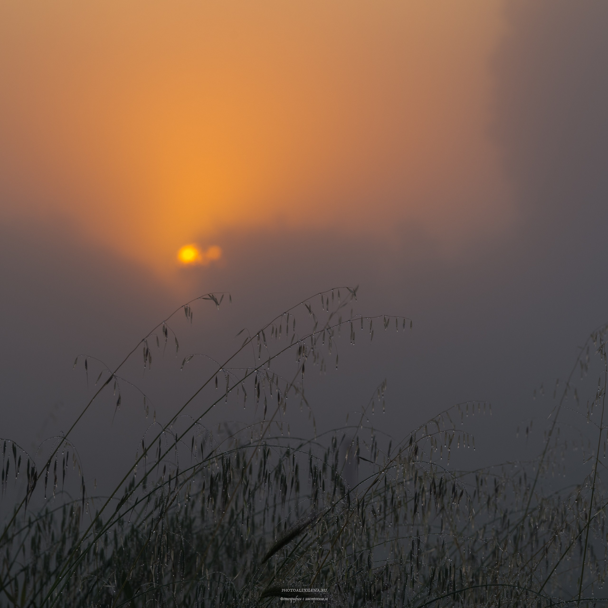 Великолепная Тоскана. Авторские стильные фотокартины