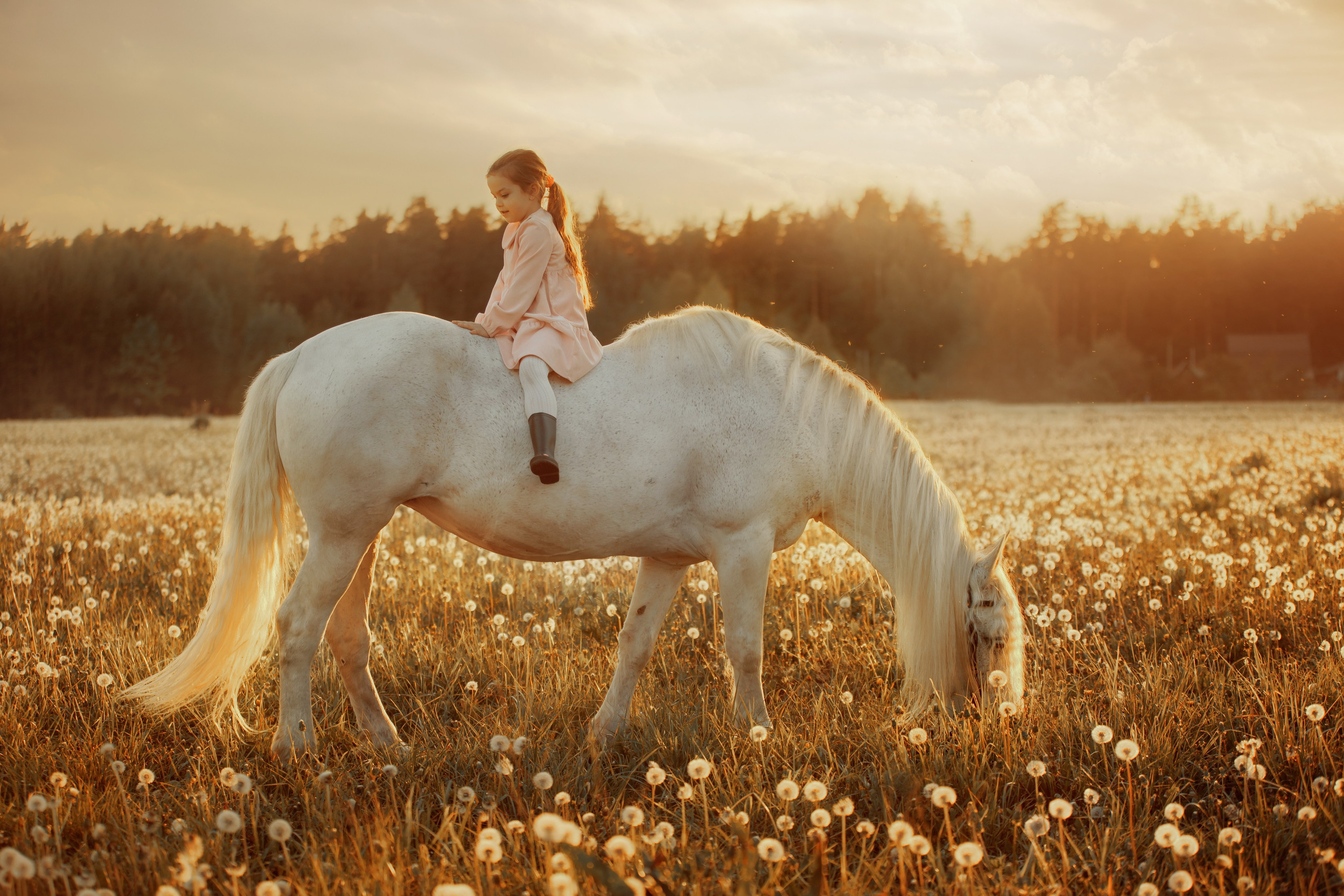 Детская конная съёмка. Детская Конная фотография в Москве Юлия Шепелева