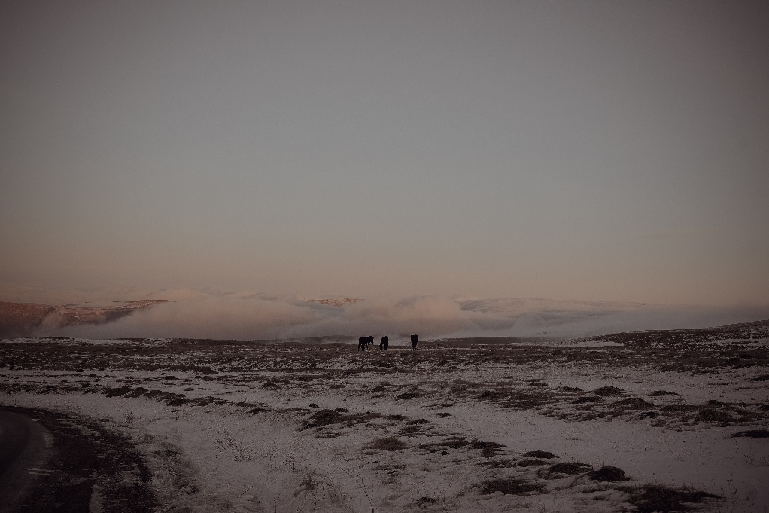 Пожар. Свадебный и семейный фотограф Афанасьева Анна в Кисловодске