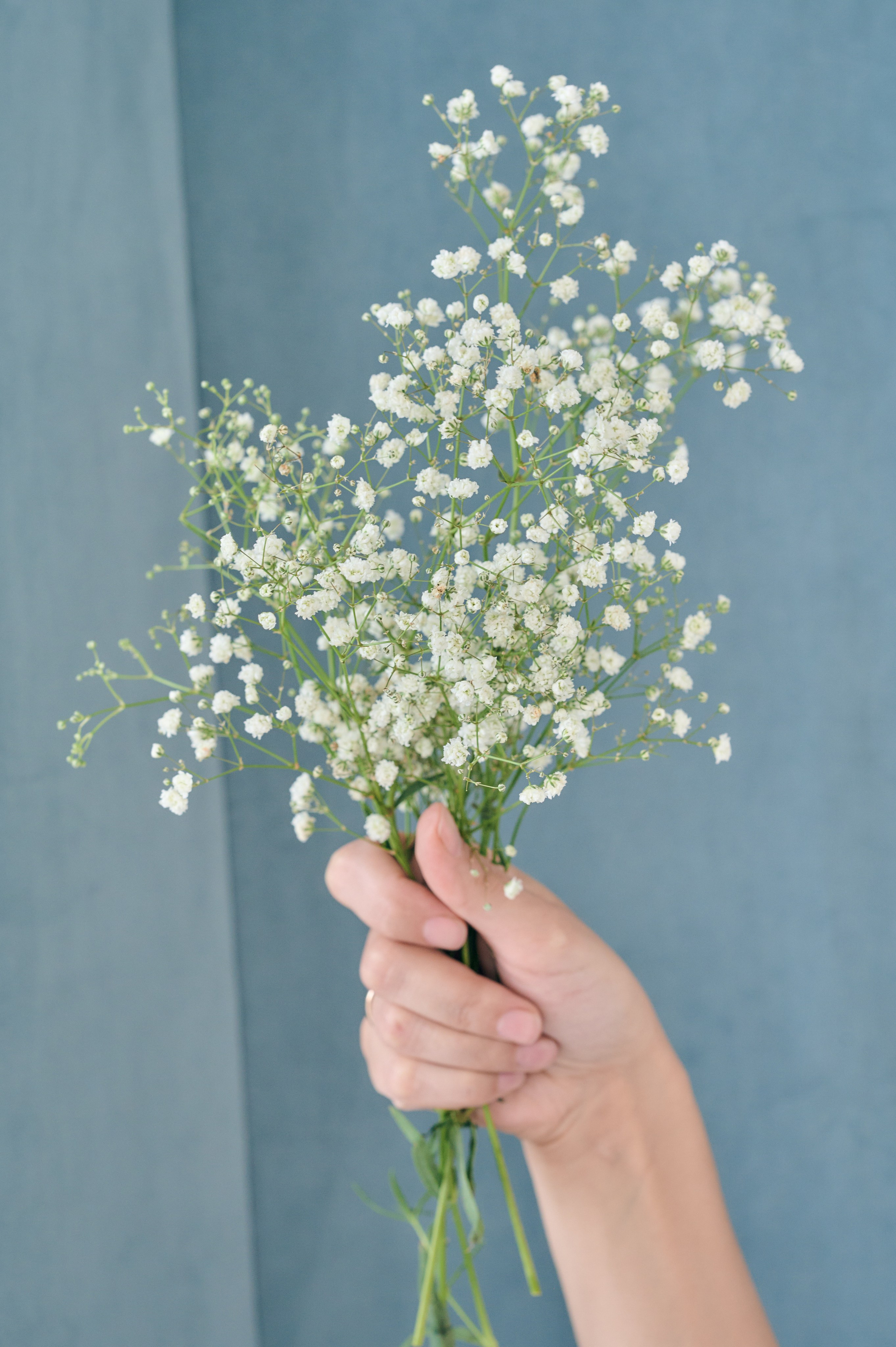 Фотосессия Оля 25.10.21. Никита Хохловский фото и видео продакшн