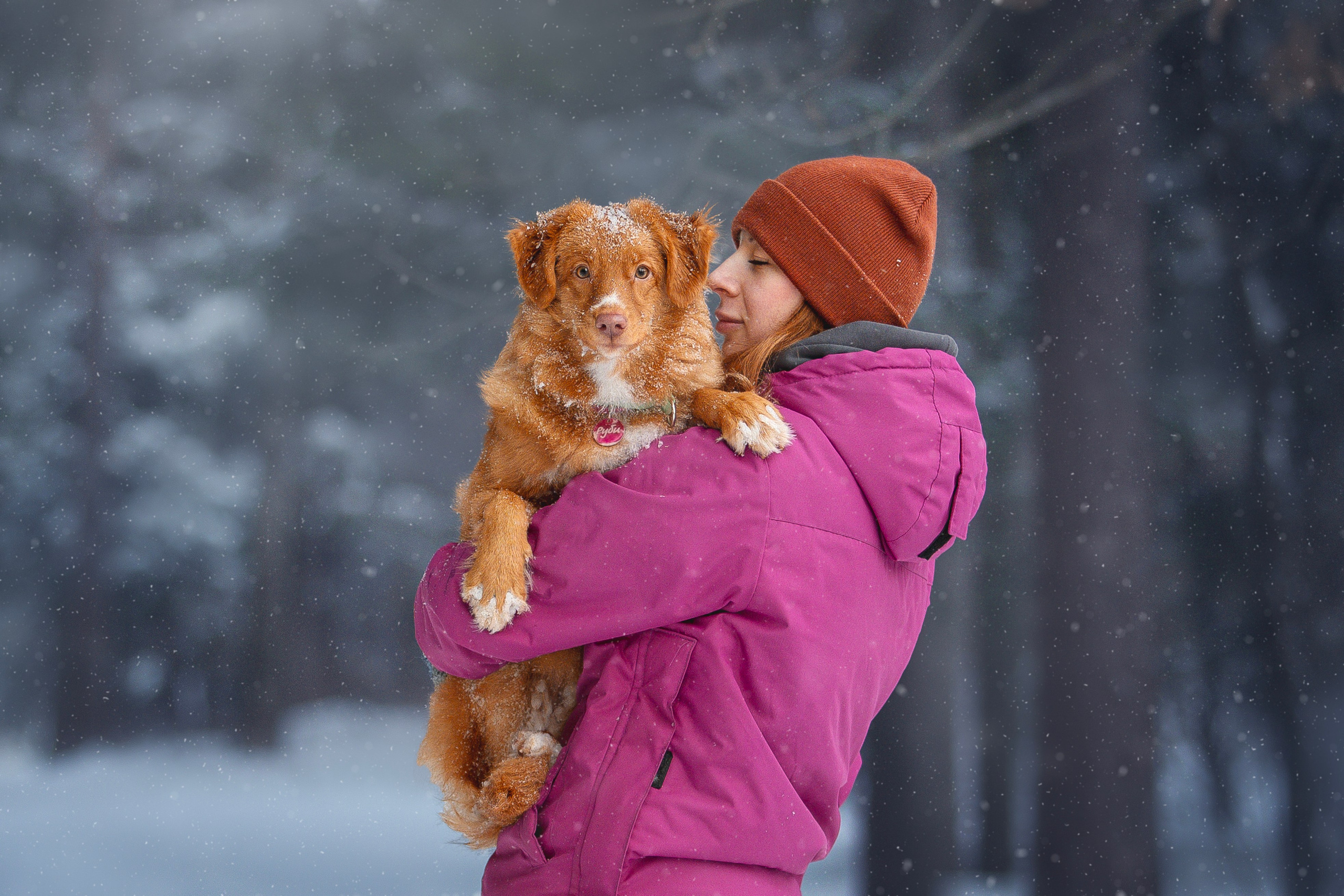 Руби, Николь, Кирилл и Мила. Фотограф анималист в Москве Майорова Евгения