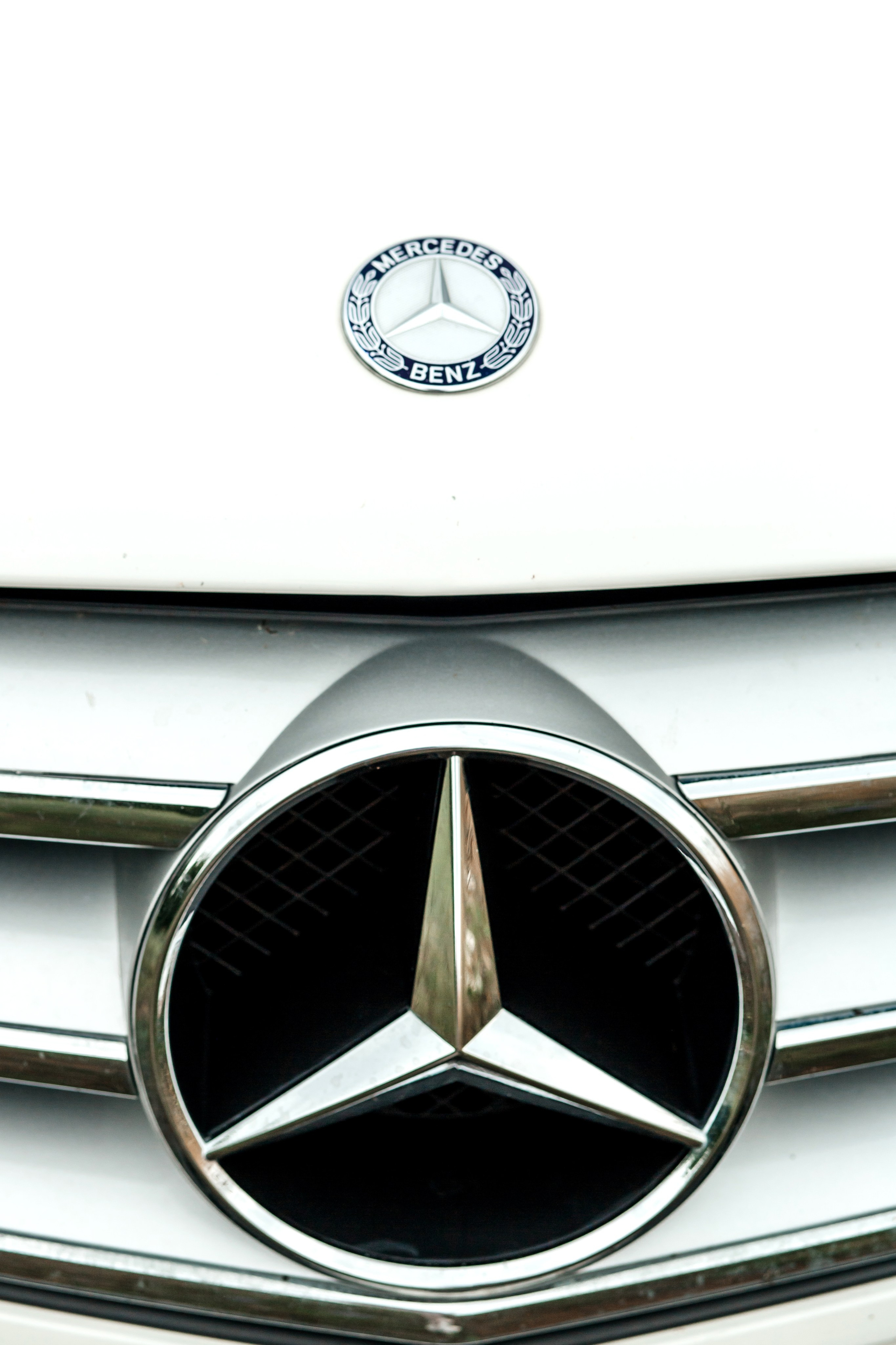 Александра фотосессия в поле. Женский фотограф в Оренбурге Ирина Заводчикова