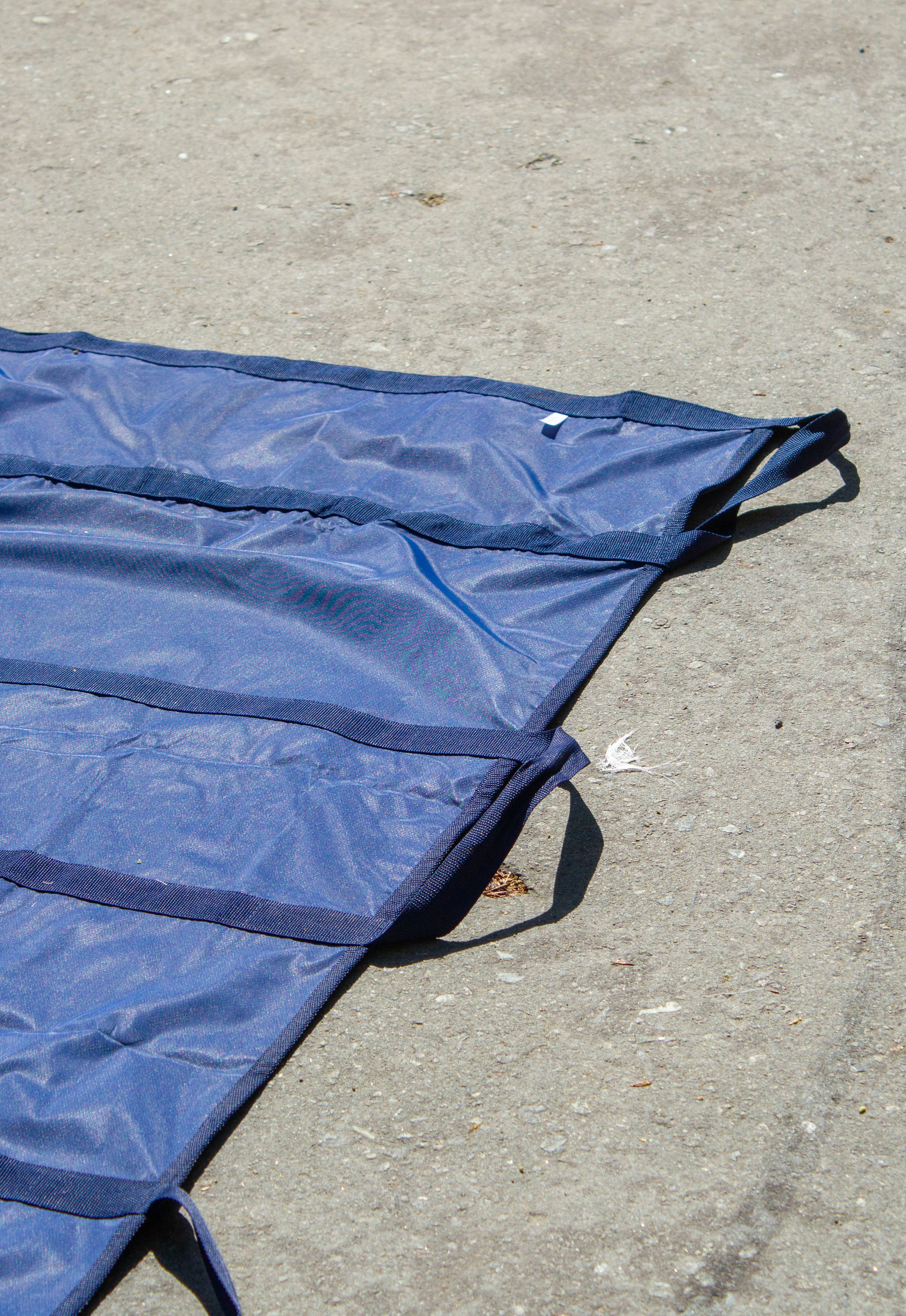 Игра «Разведка» для первокурсников Екатеринбургской академии современного искусства 2024