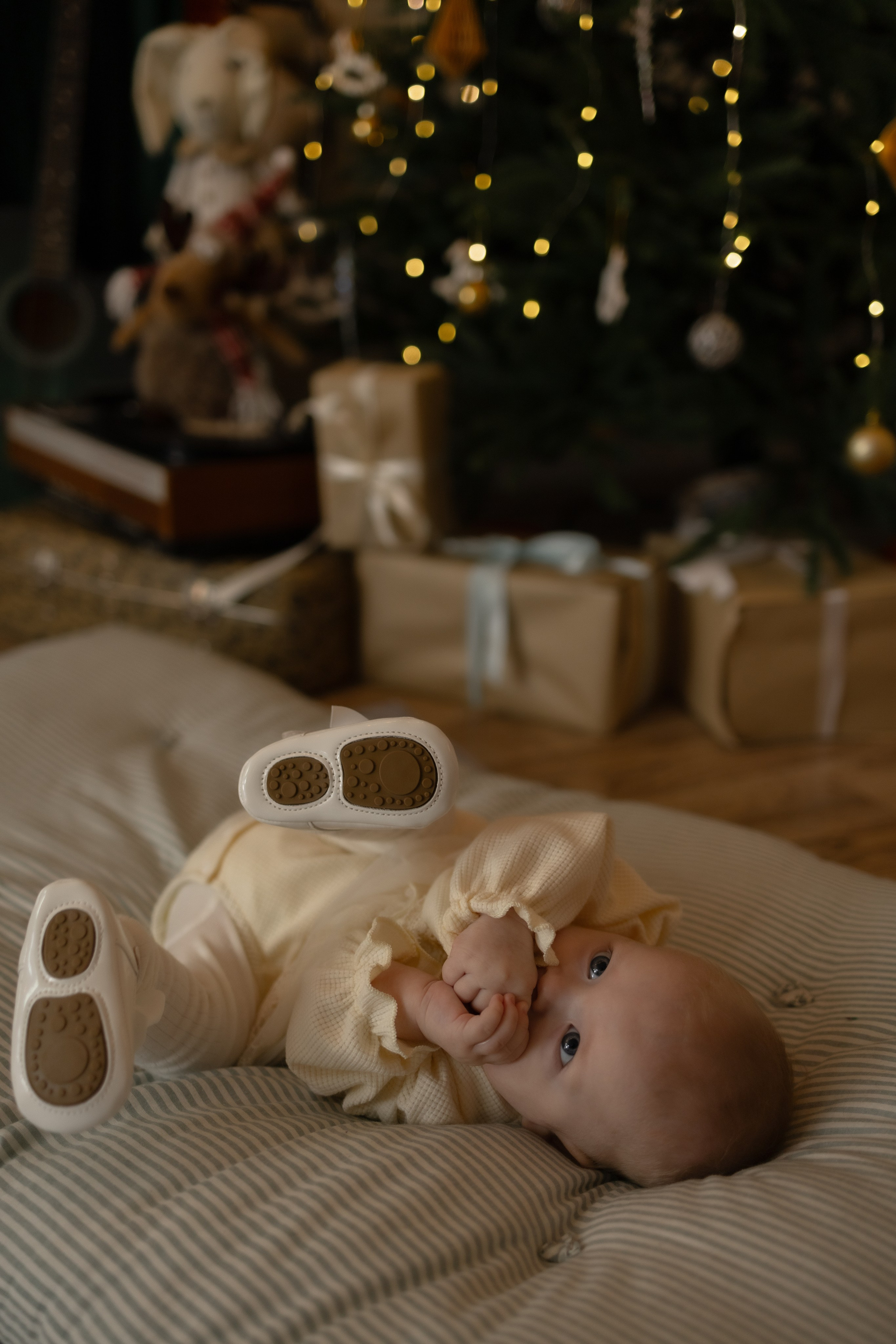 Семейная новогодняя. Фотограф Татьяна Семенова