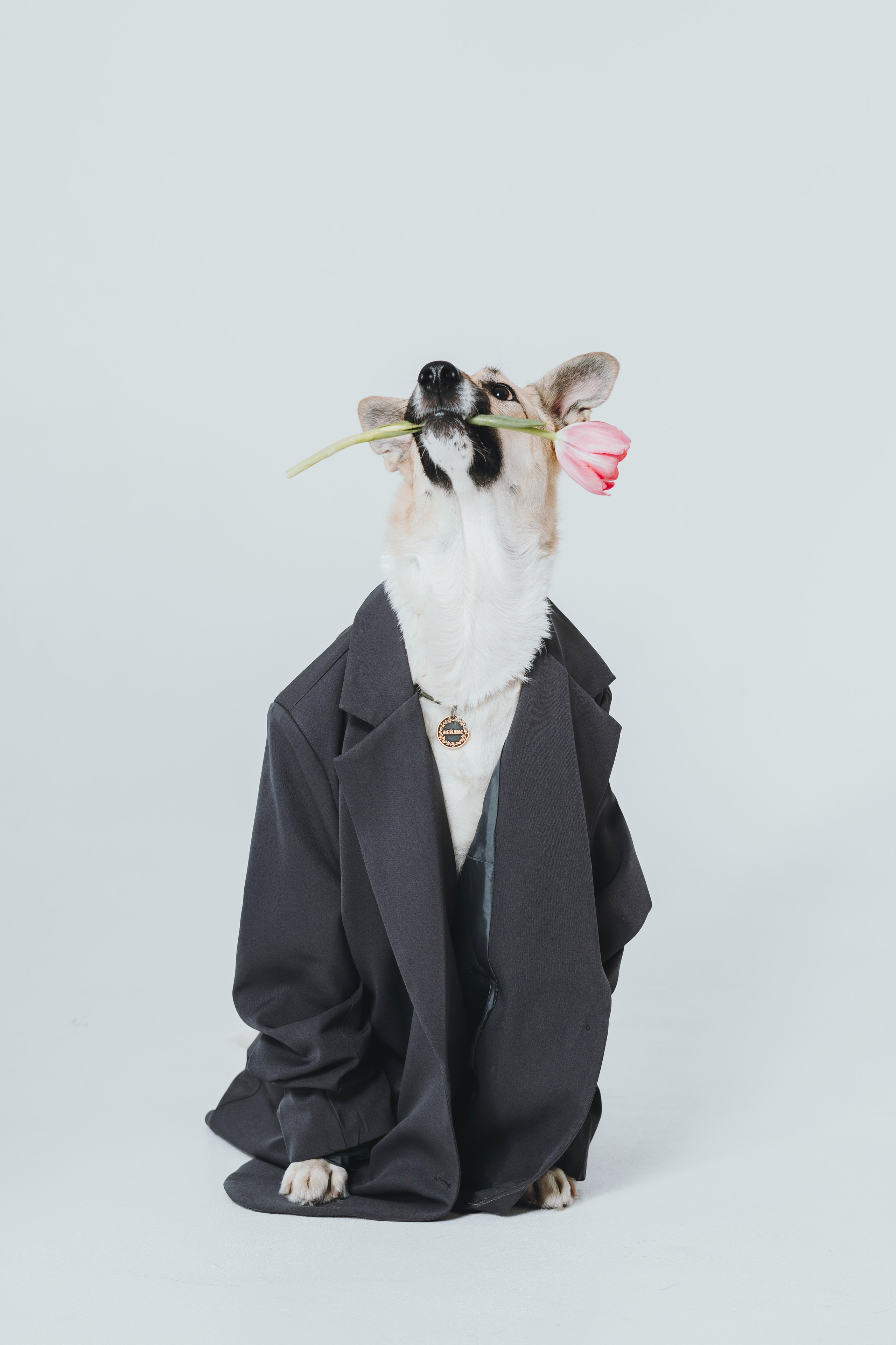 Анна и Бейлис. Фотограф — анималист Владивосток, Алина