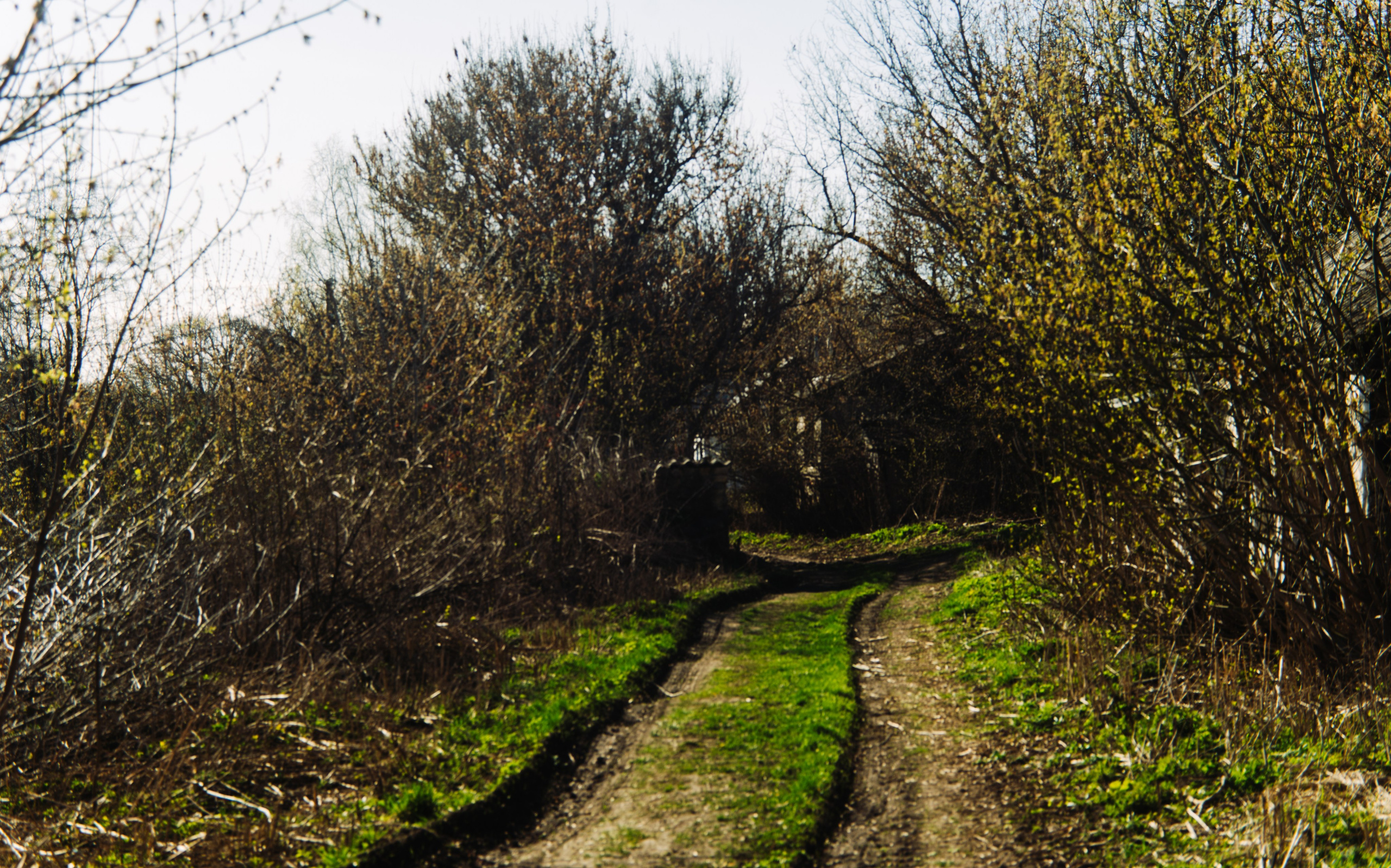 Орановка. Репортажный и портретный фотограф в Липецкой, Воронежской, Московской области Тёма Белоусов