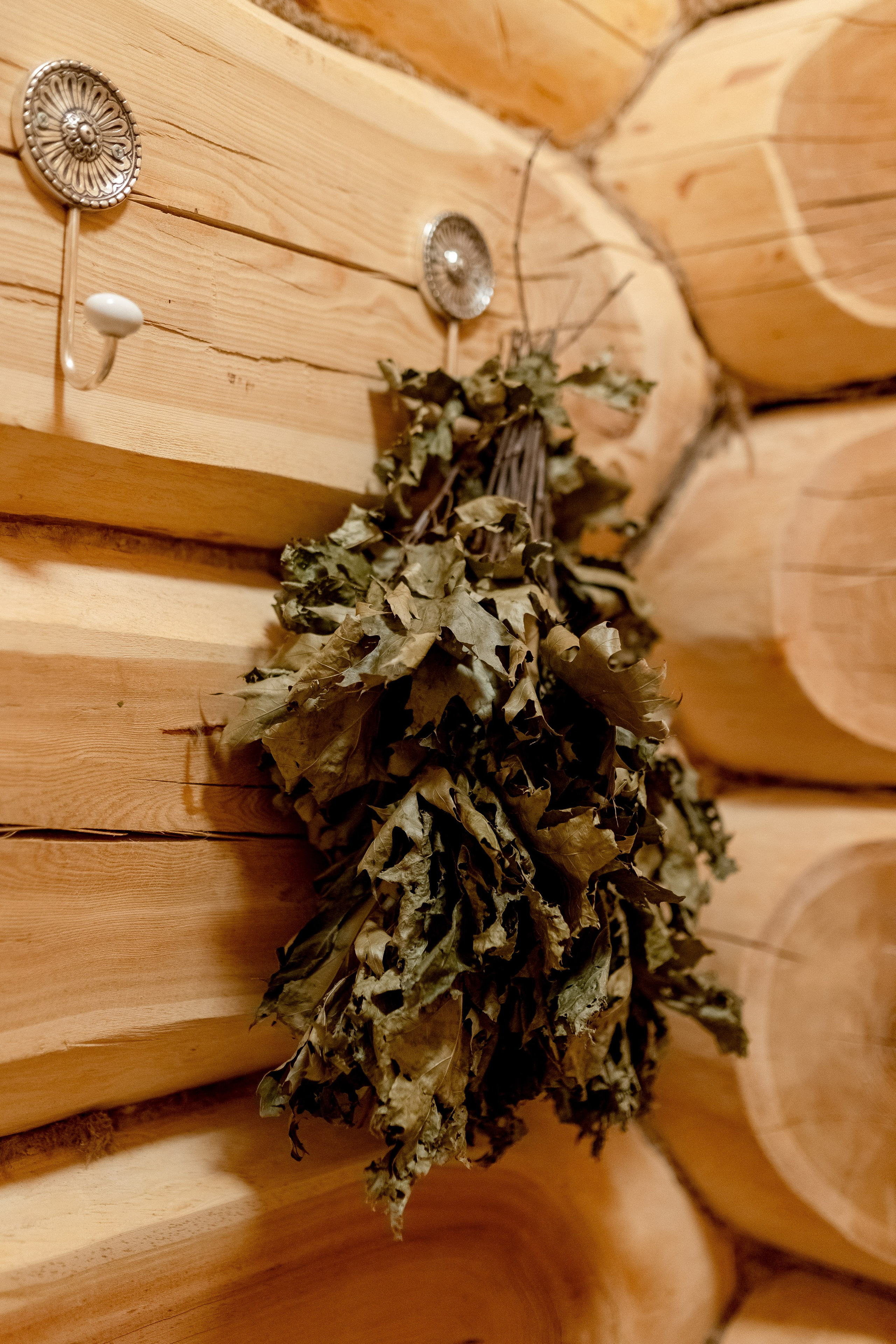 Баня. Главная