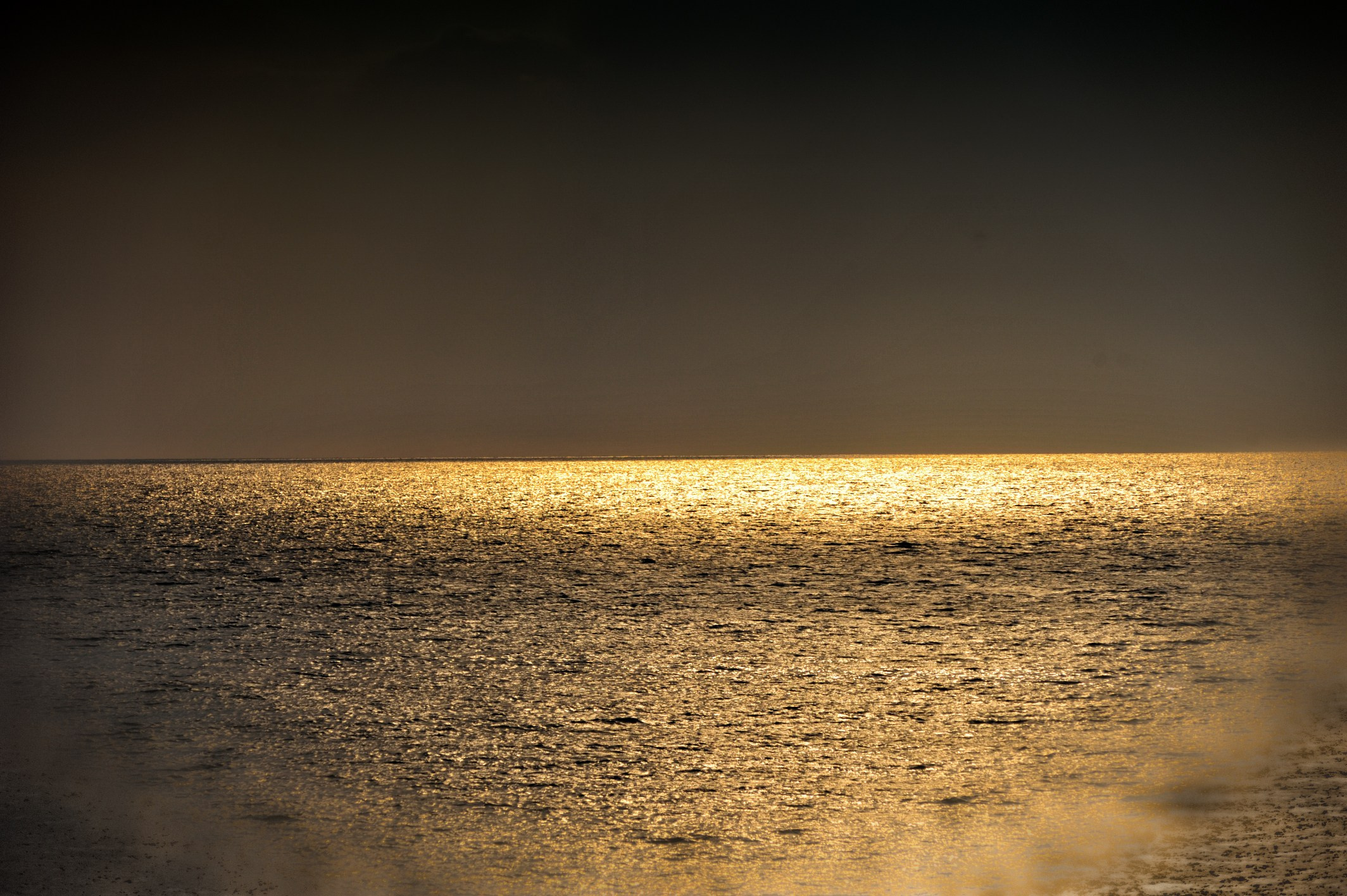 Vibe. Фотограф Милена Яновска