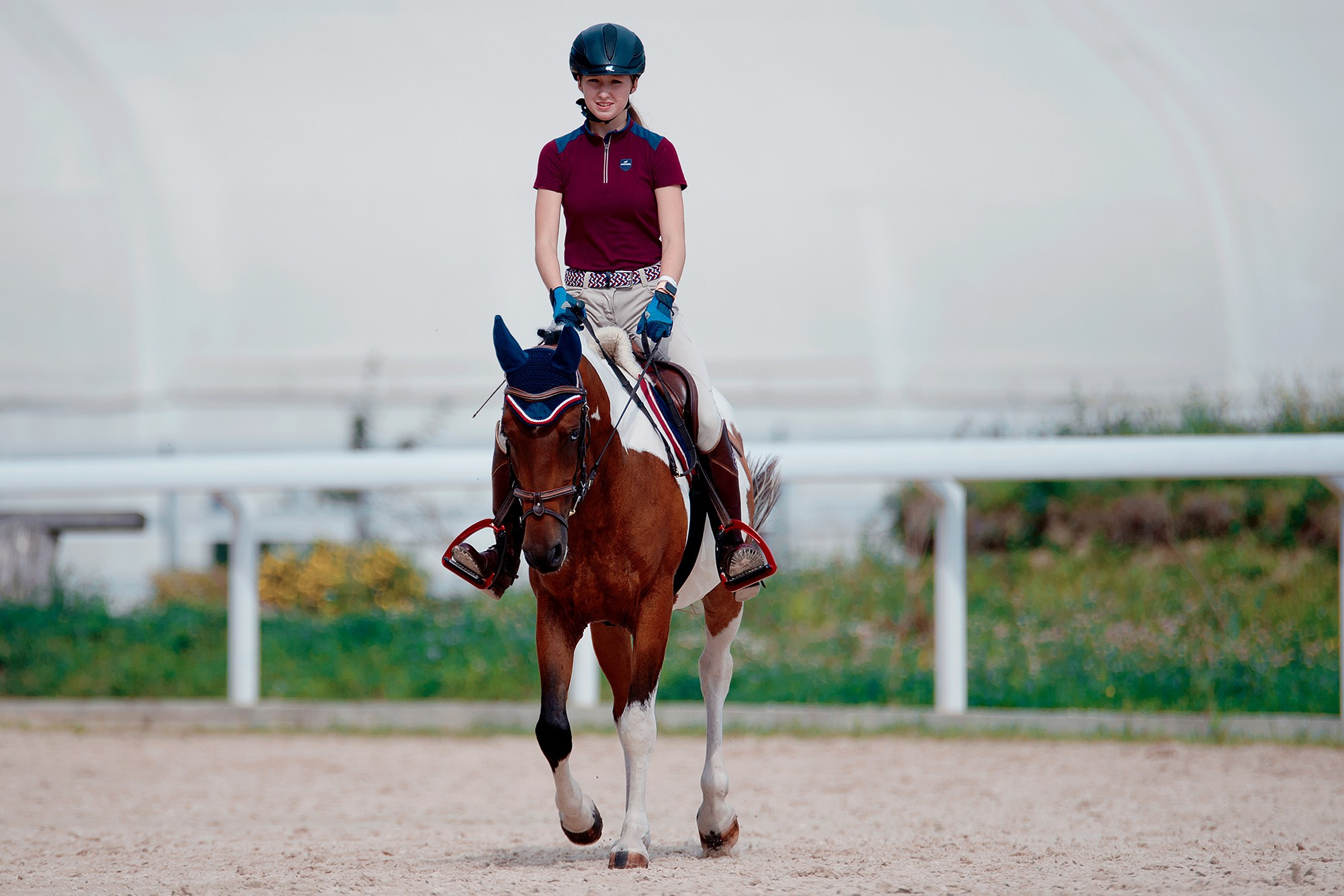 Тренировки. Конный фотограф Alesya Safe