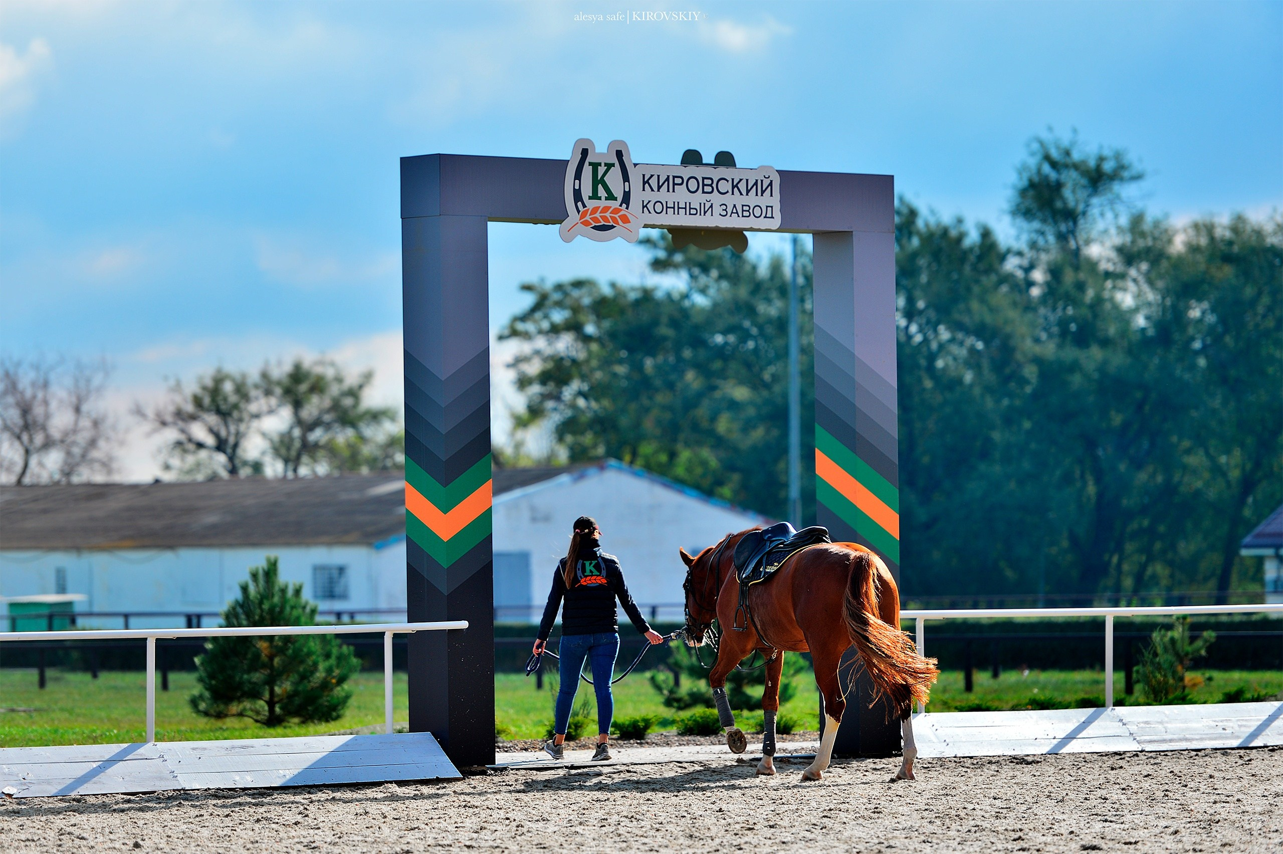 Кировский конный завод. Конный фотограф Alesya Safe