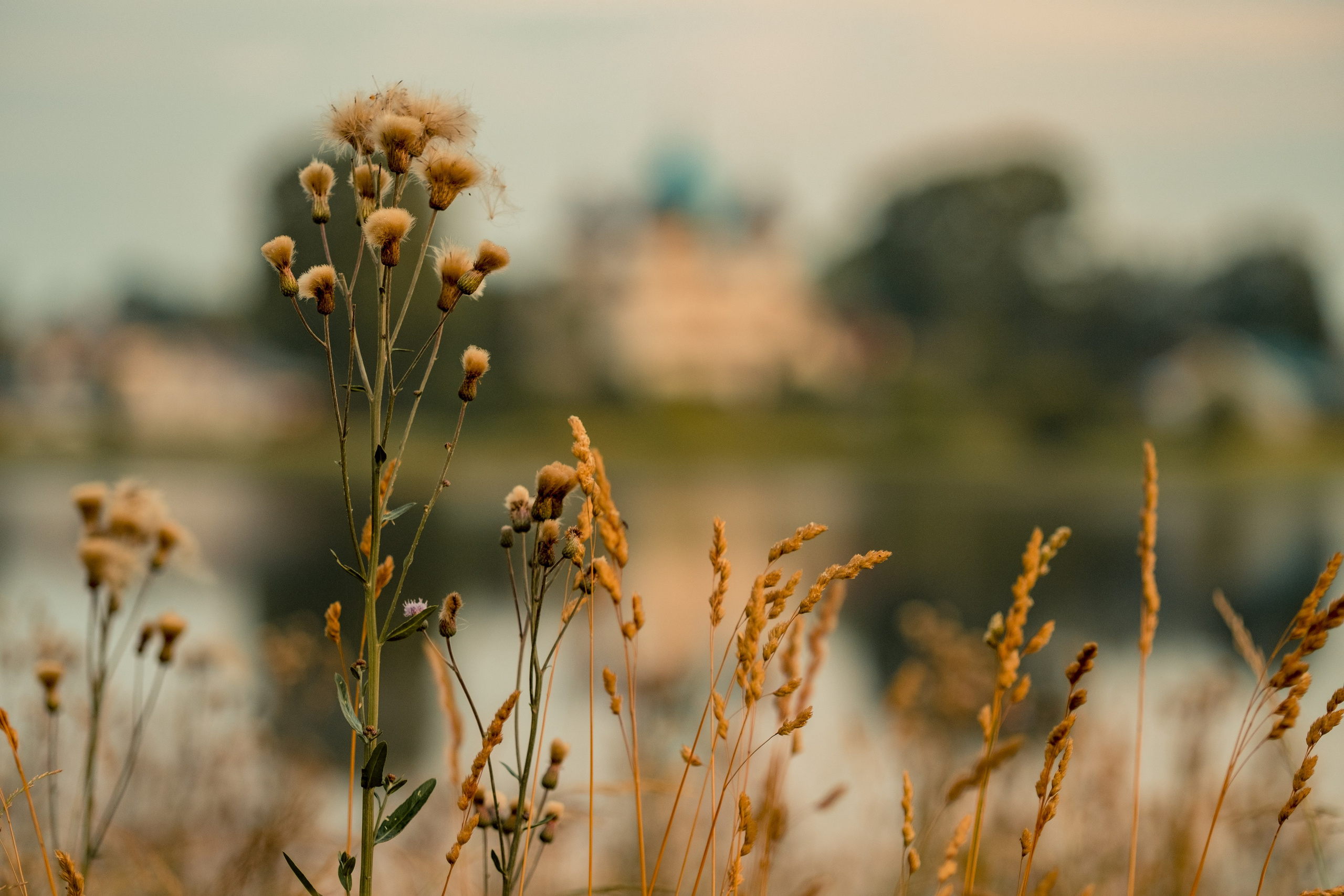 Фотографии Каргополя и красивые виды Русского Севера. Портретный, репортажный и пейзажный фотограф в Москве Сергей Арест