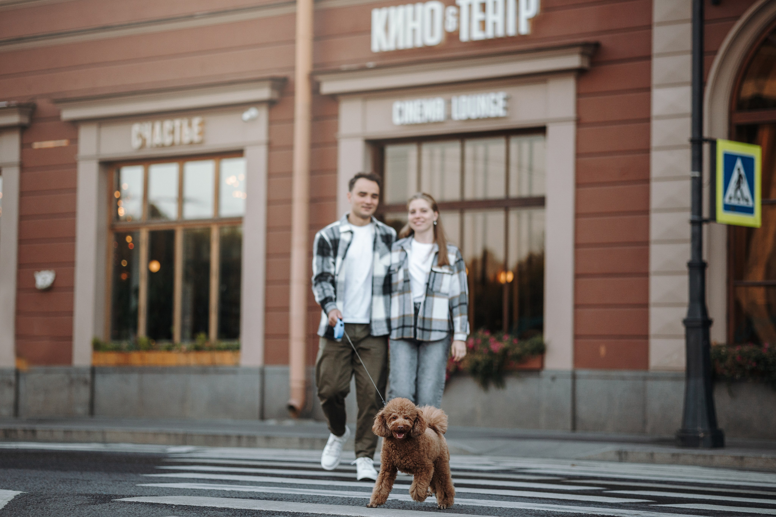 Барни и его семья. Фотограф — Анималист | Санкт-Петербург