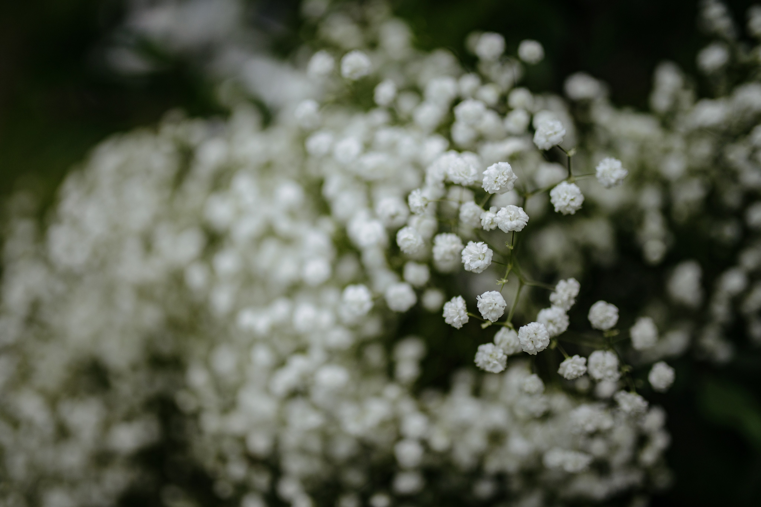 Съёмка свадебного декора. 100-й пруд. Свадебный фотограф Константинова Елена