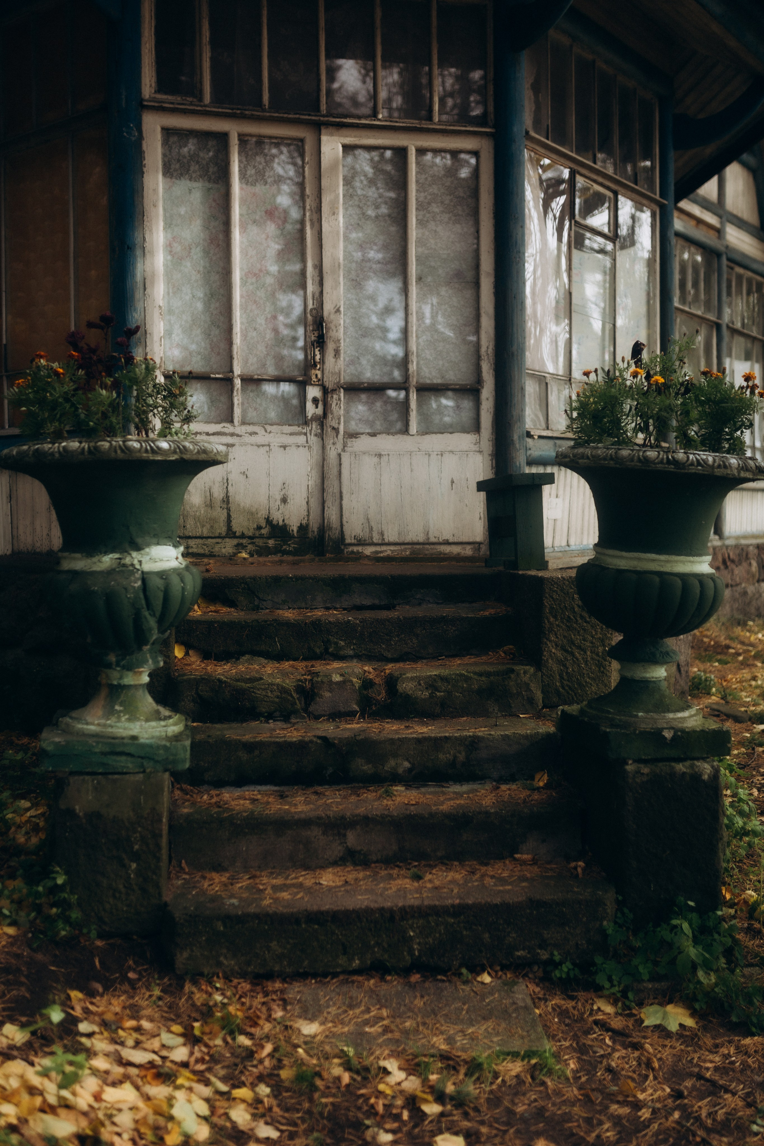 Октябрь. Фотограф из Петербурга