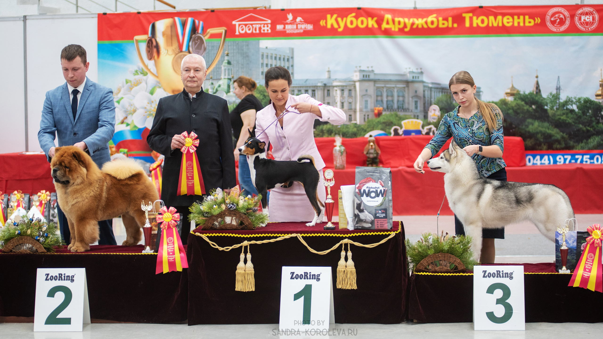 Выставка собак тюмень 14.01.2023. Дог-фотограф в Тюмени Александра Королева