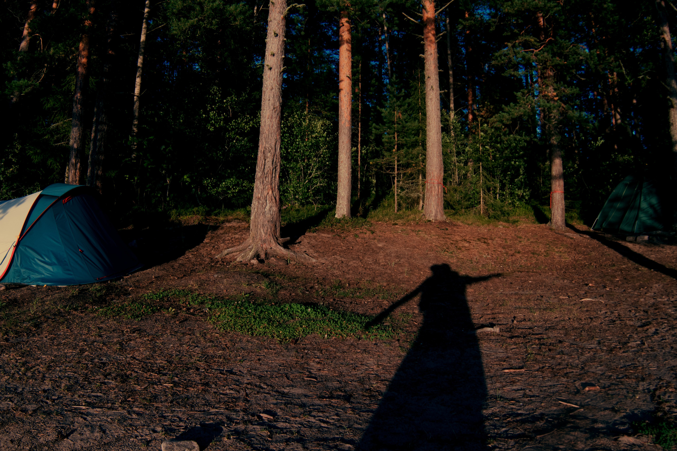 И вокруг меня. Портретный и концертный фотограф в Санкт-Петербурге Егор Телятников